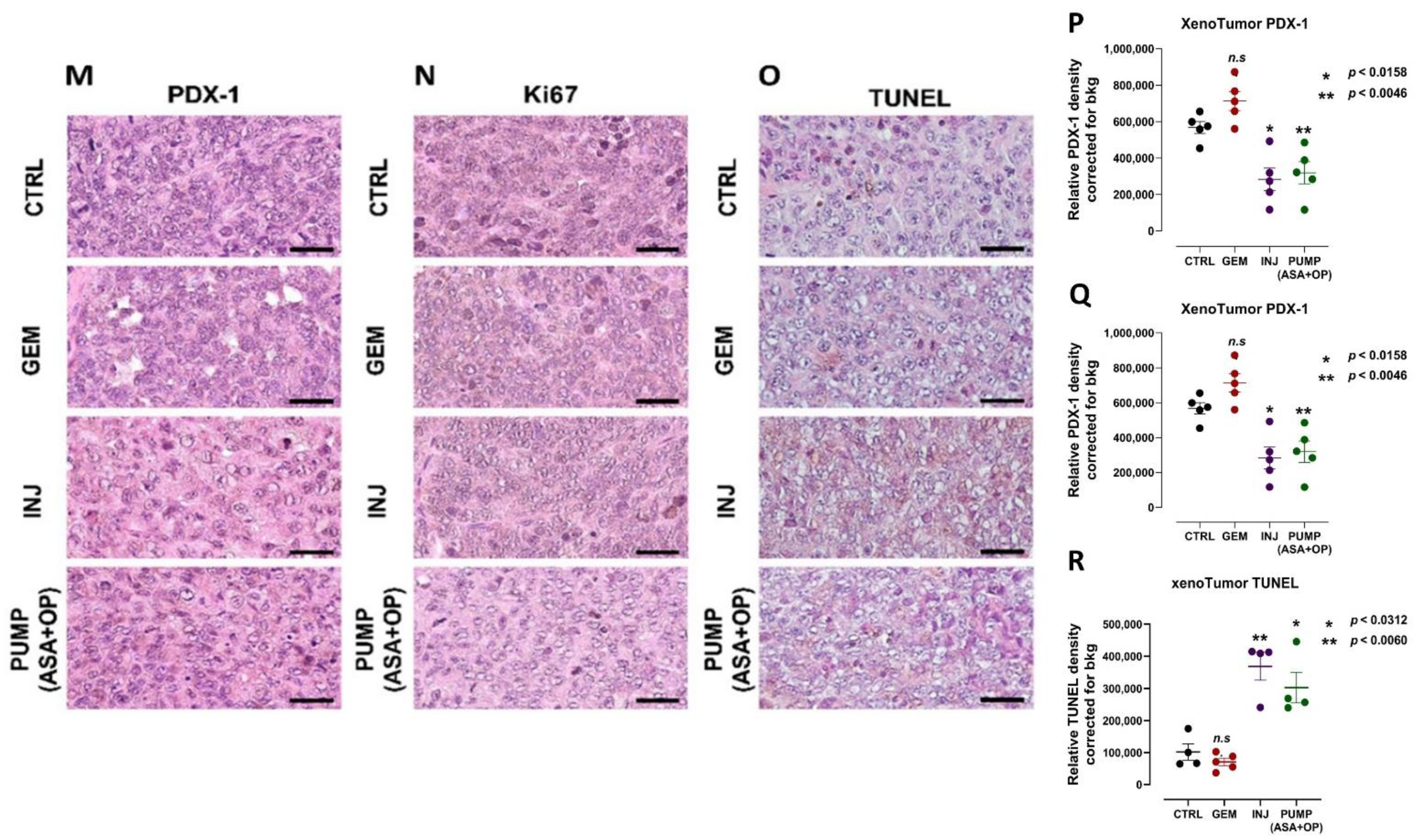 Cancers 14 03595 g008b