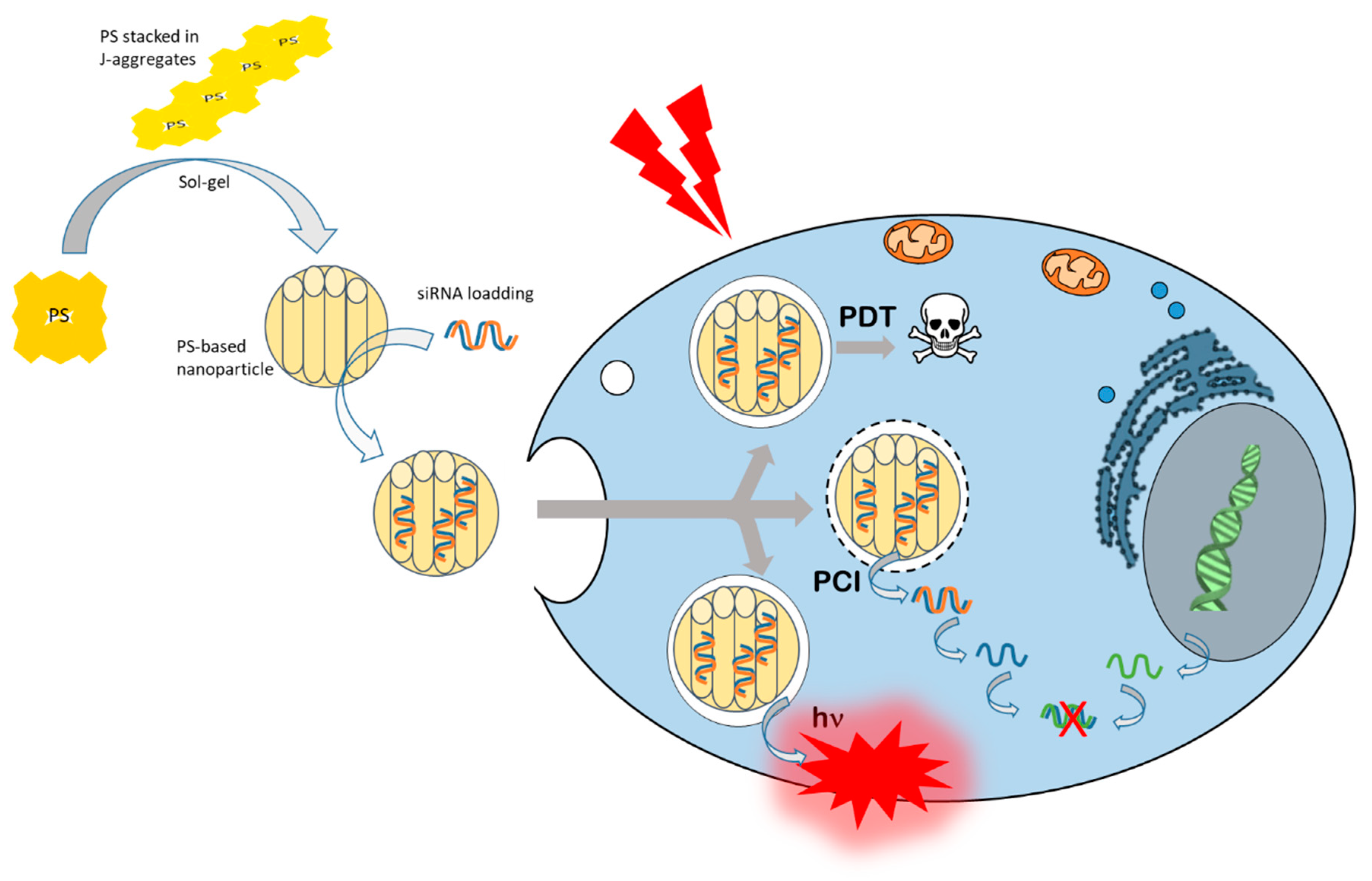 Cancers 14 03597 g003