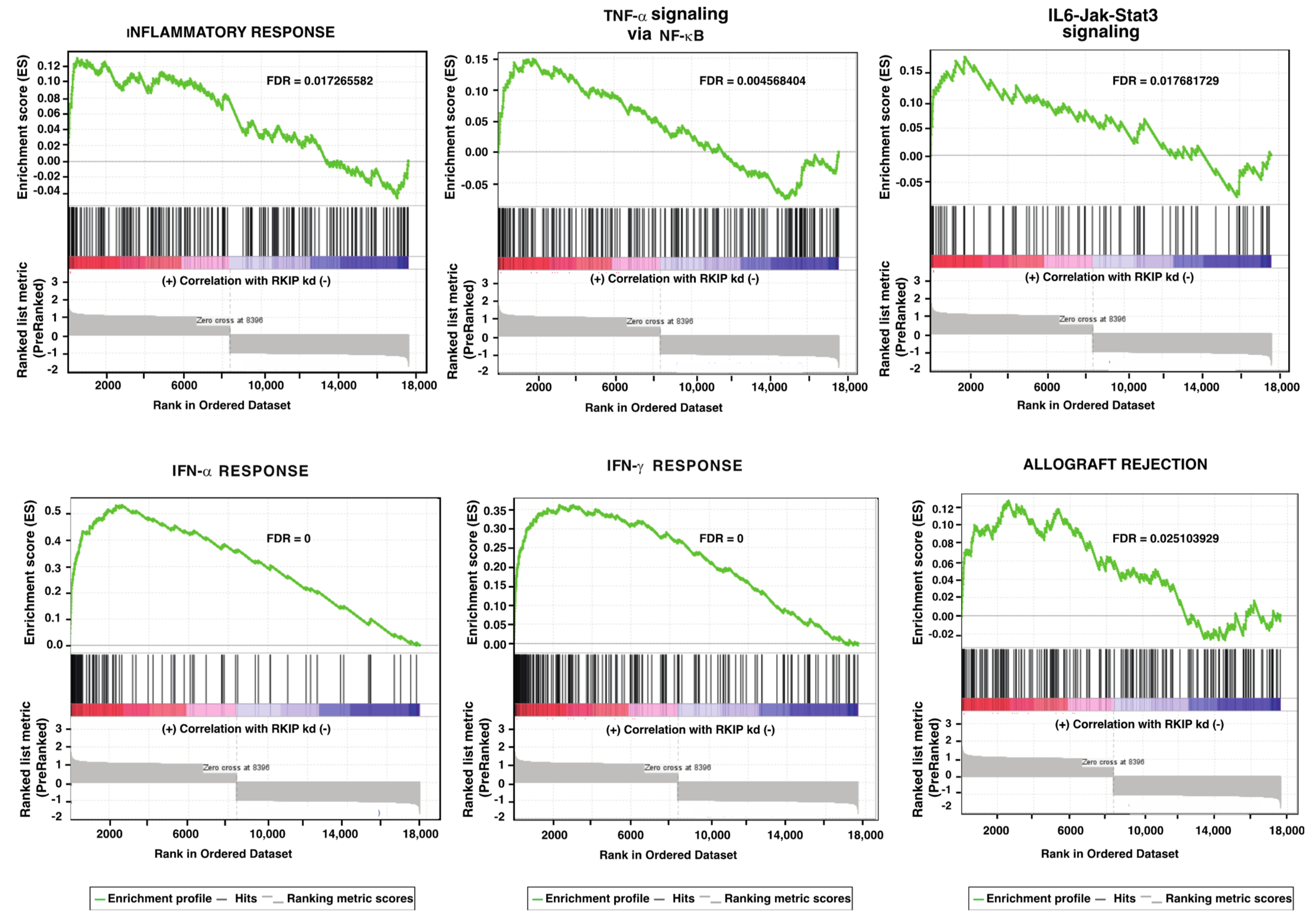 Cancers 14 03605 g002