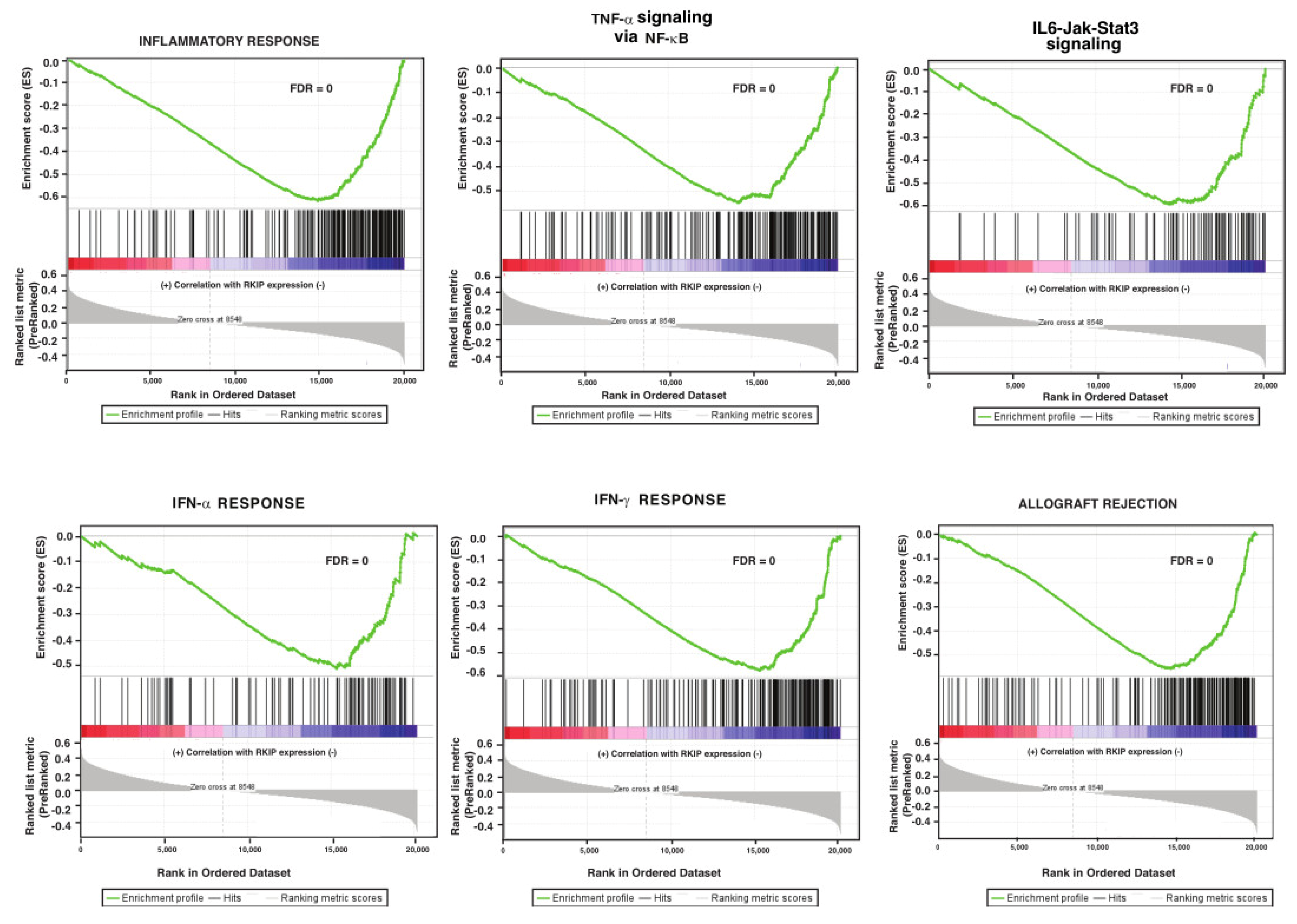 Cancers 14 03605 g005