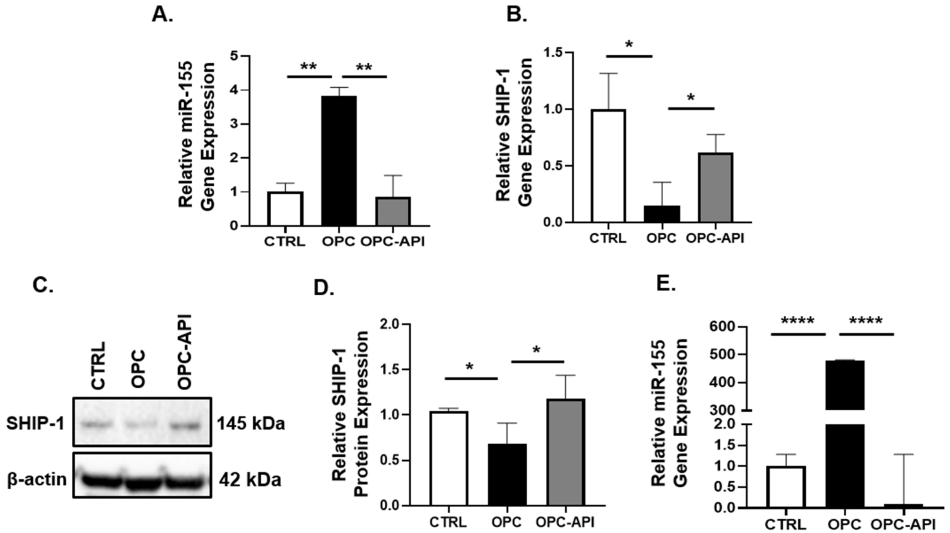 Cancers 14 03613 g004 Cancers 14 03613 g004