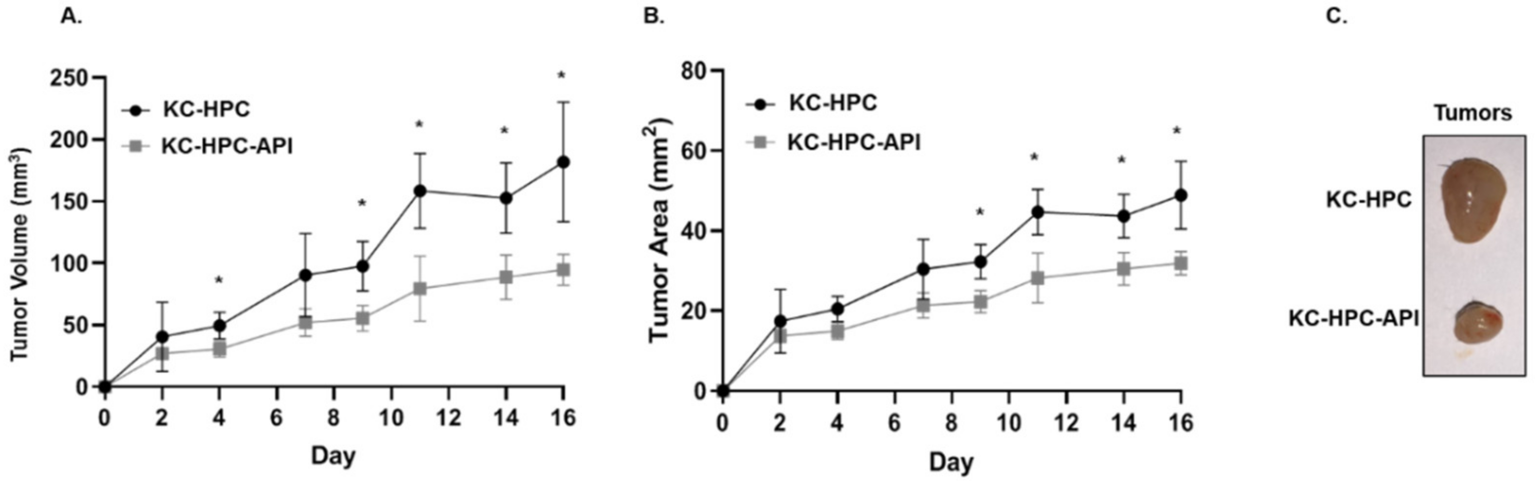 Cancers 14 03613 g008 Cancers 14 03613 g008
