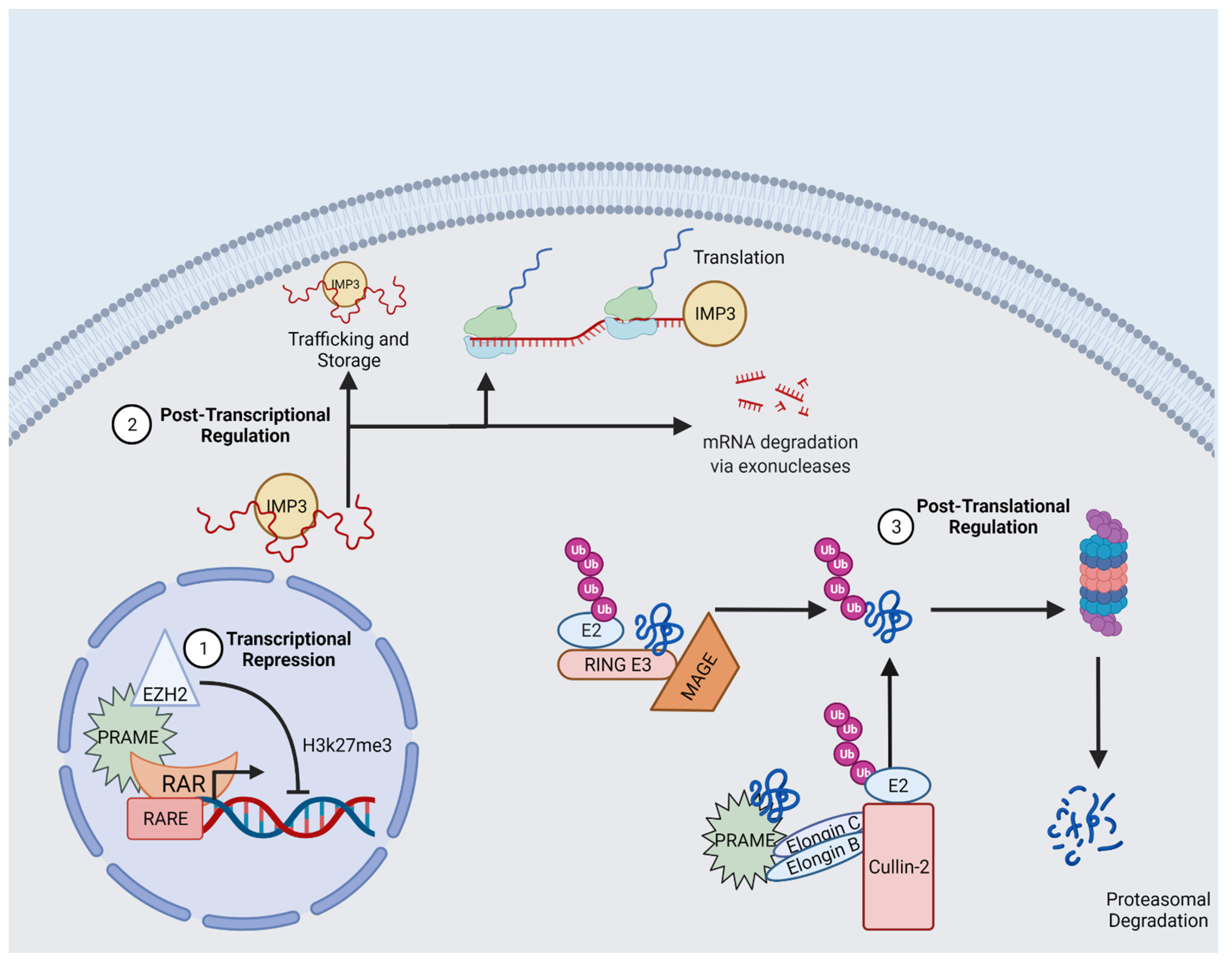 Cancers 14 03630 g001