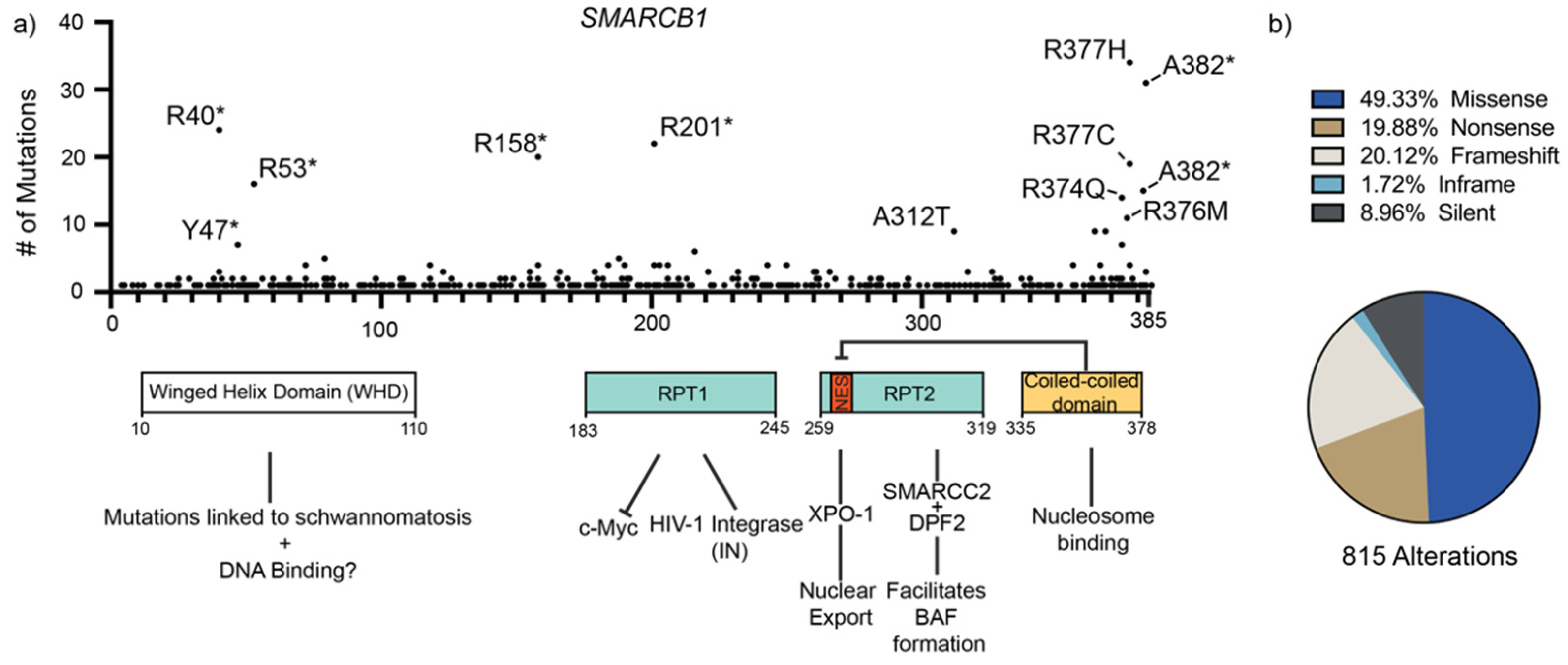 Cancers 14 03645 g001