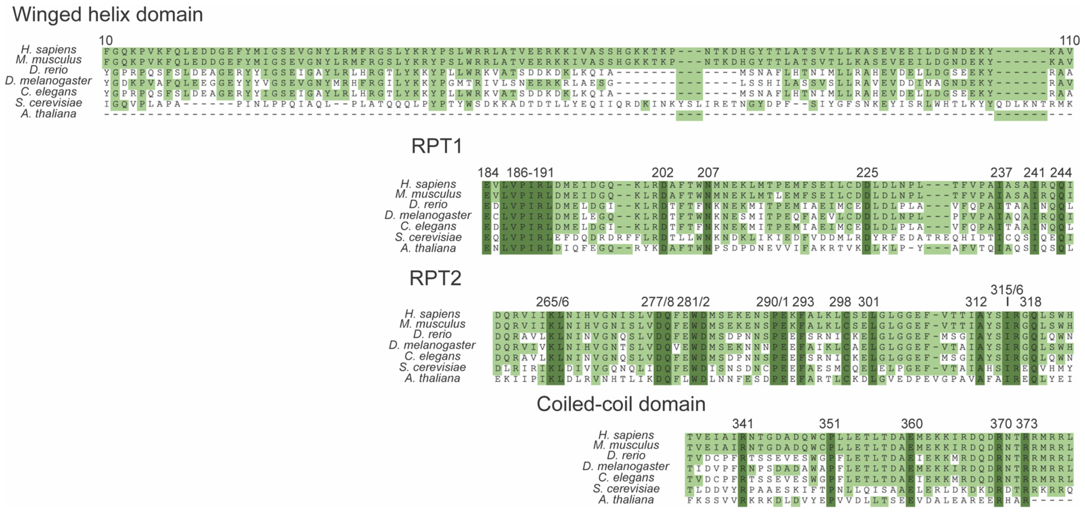 Cancers 14 03645 g002