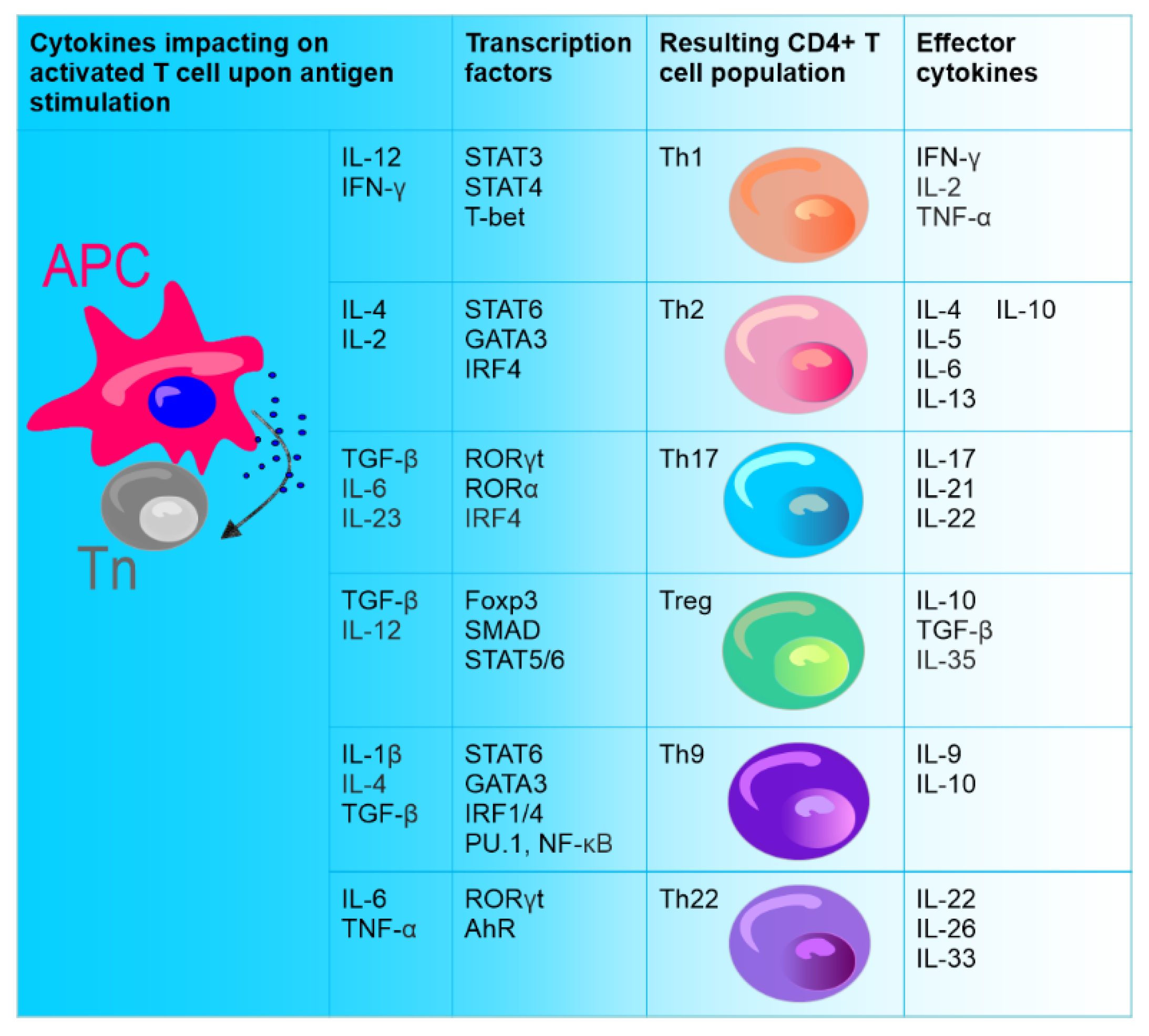 Cancers 14 03649 g001 Cancers 14 03649 g001