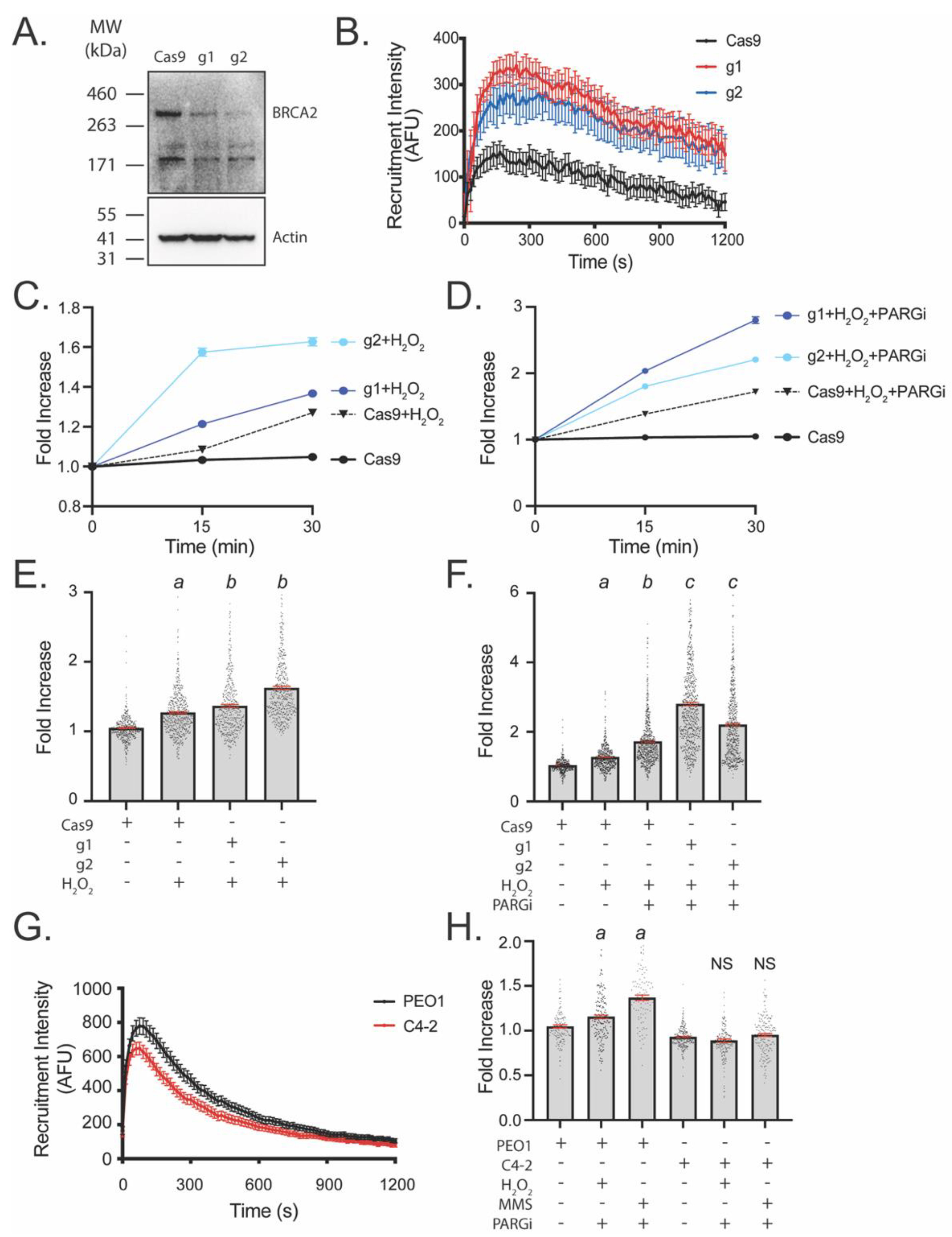 Cancers 14 03676 g003