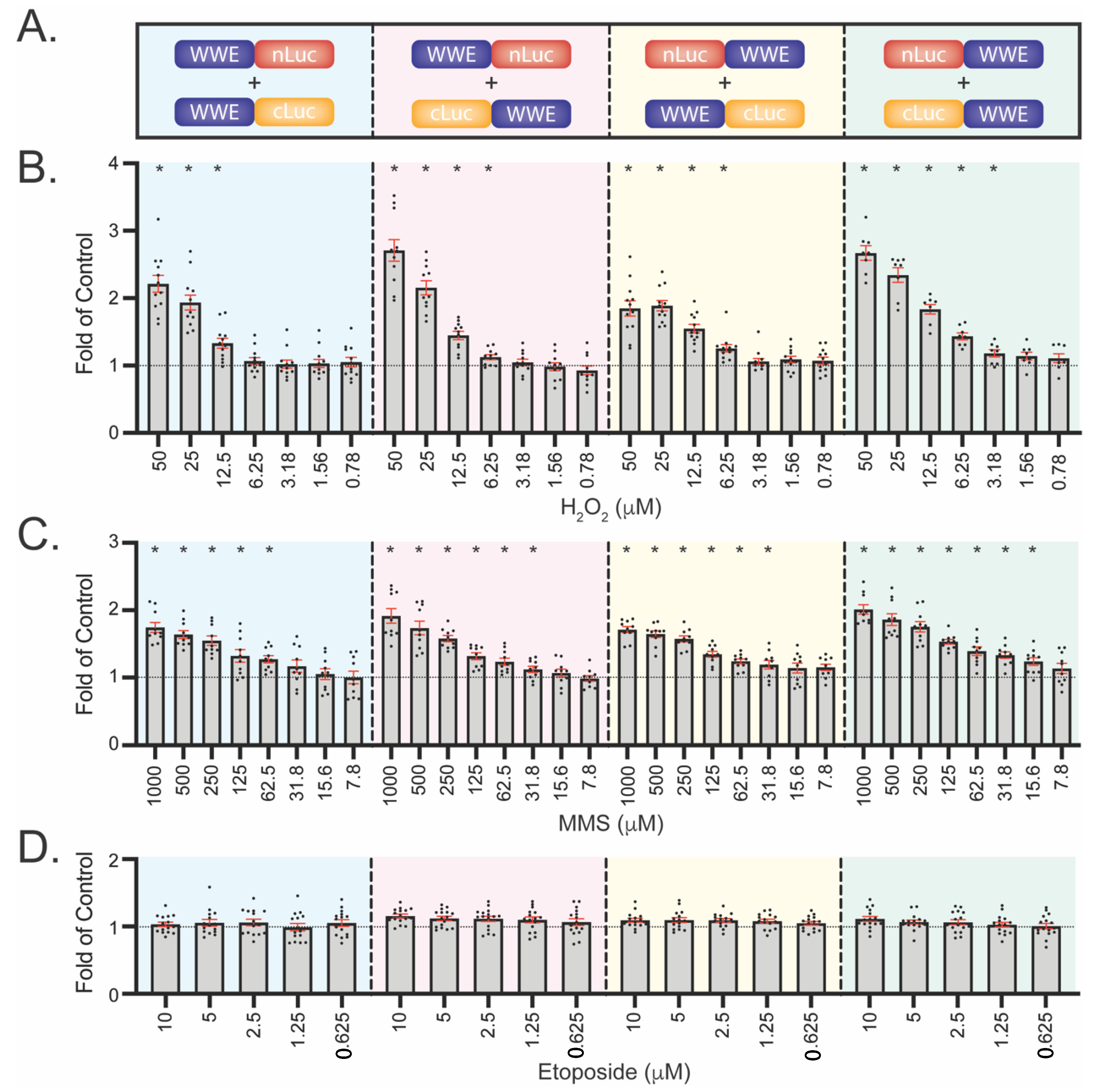 Cancers 14 03676 g004