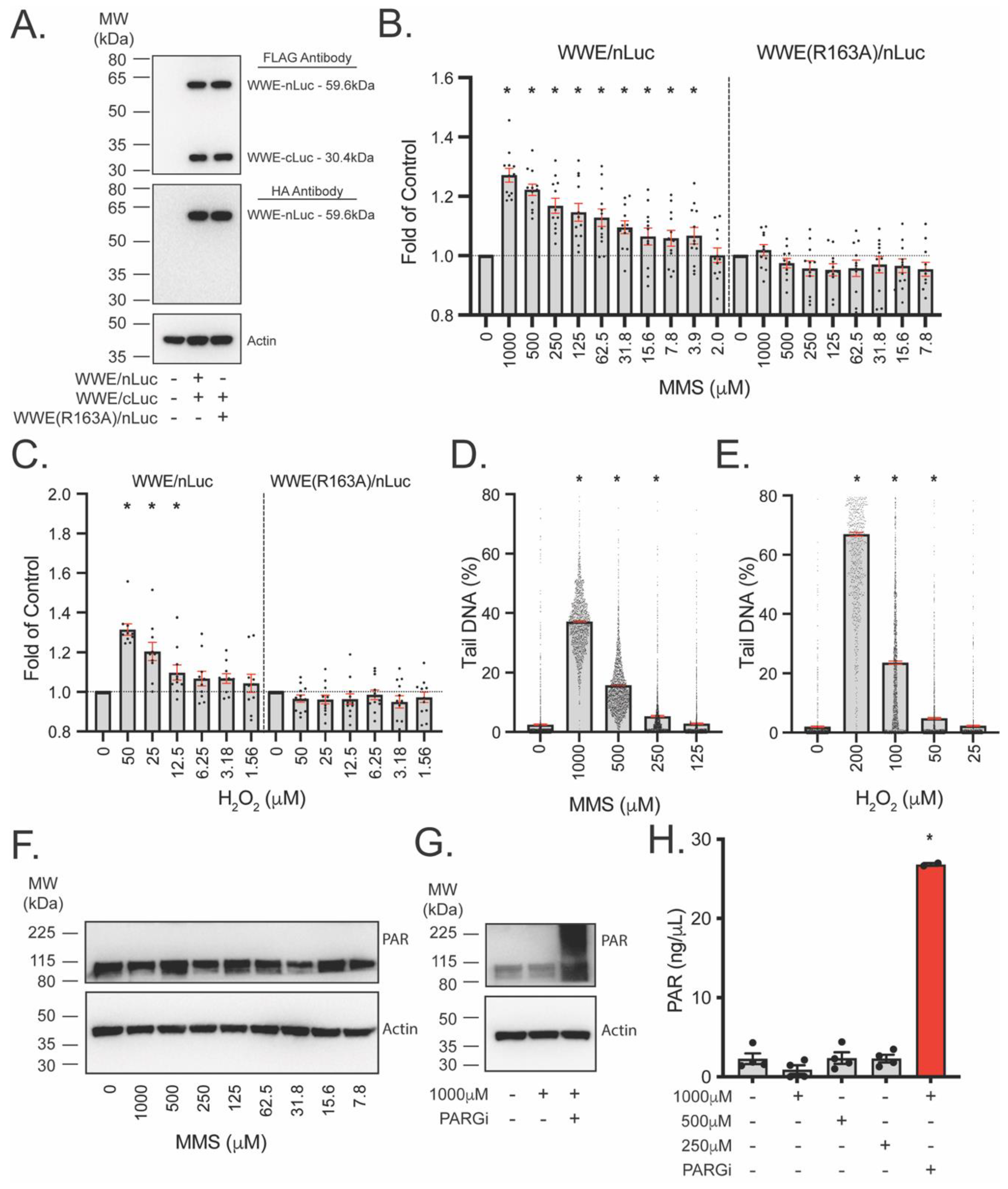 Cancers 14 03676 g005