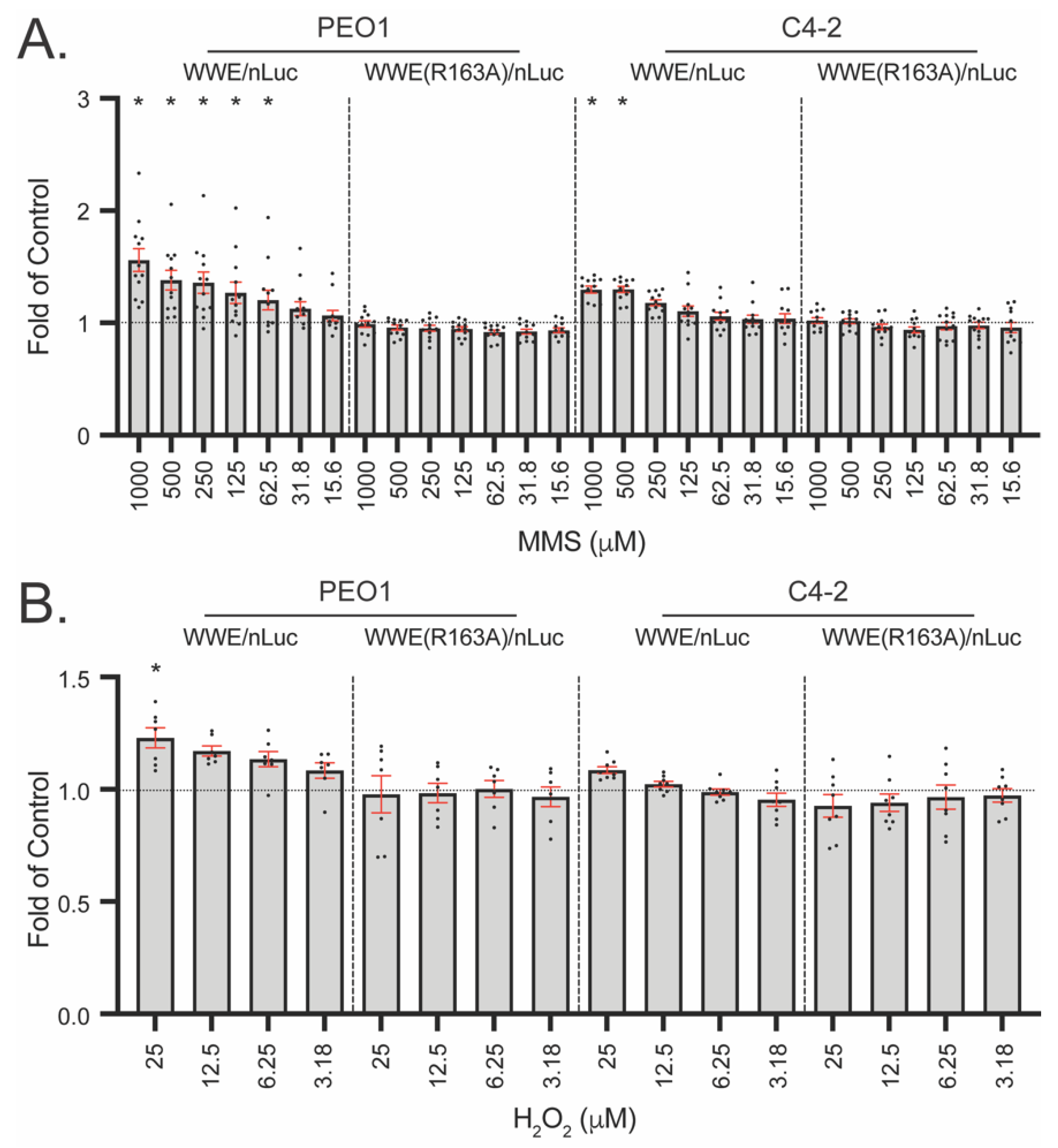 Cancers 14 03676 g006