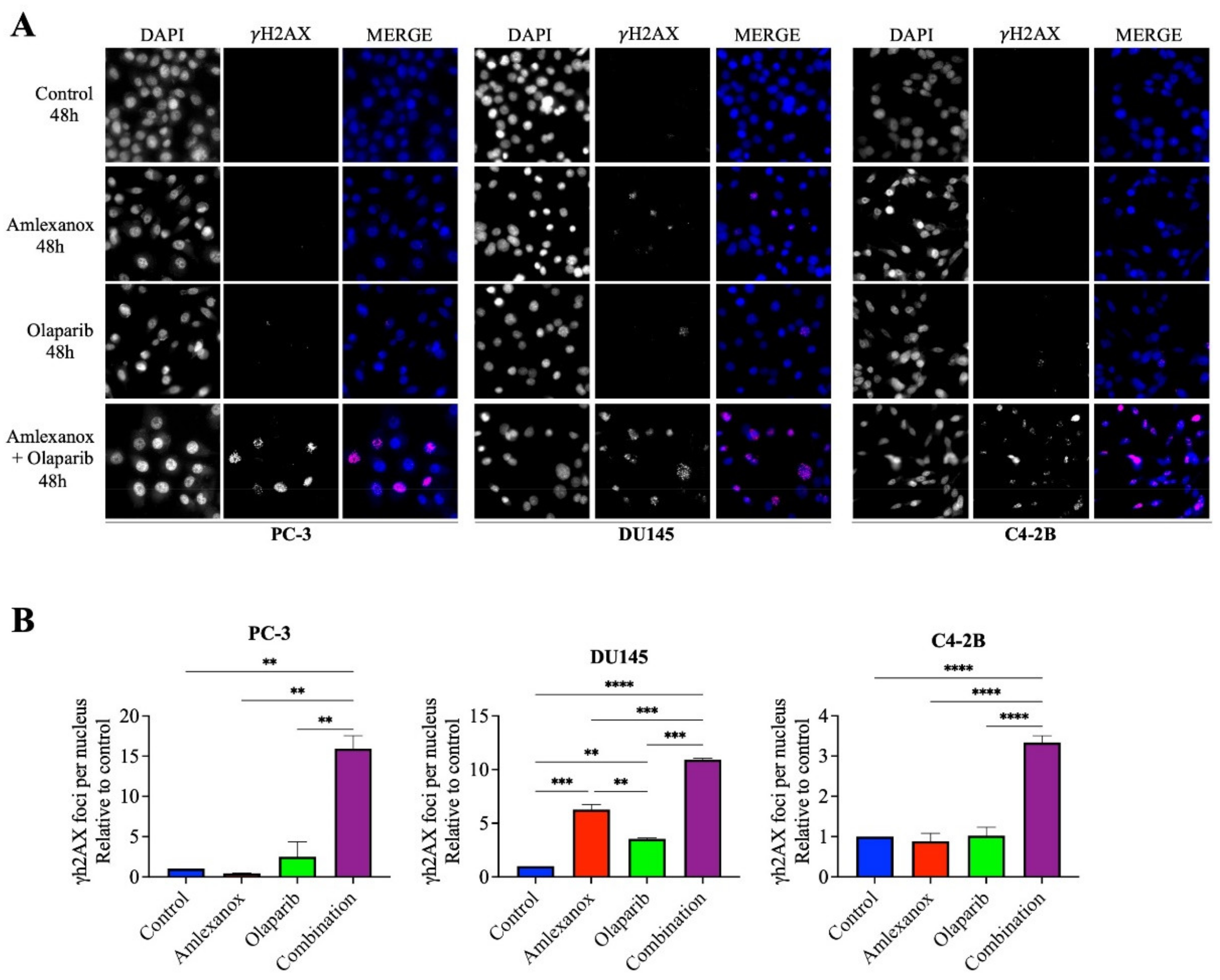 Cancers 14 03684 g002