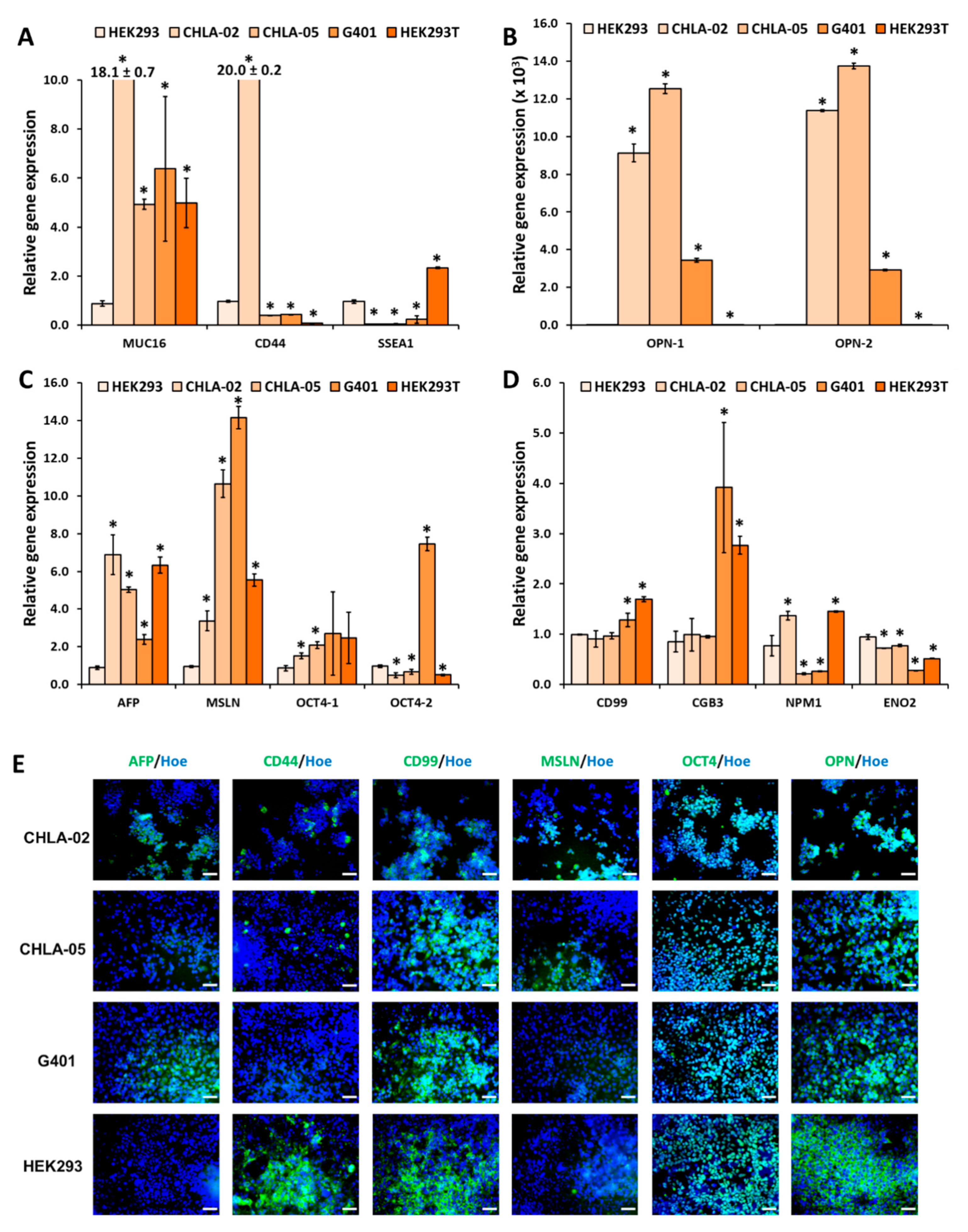 Cancers 14 03685 g002
