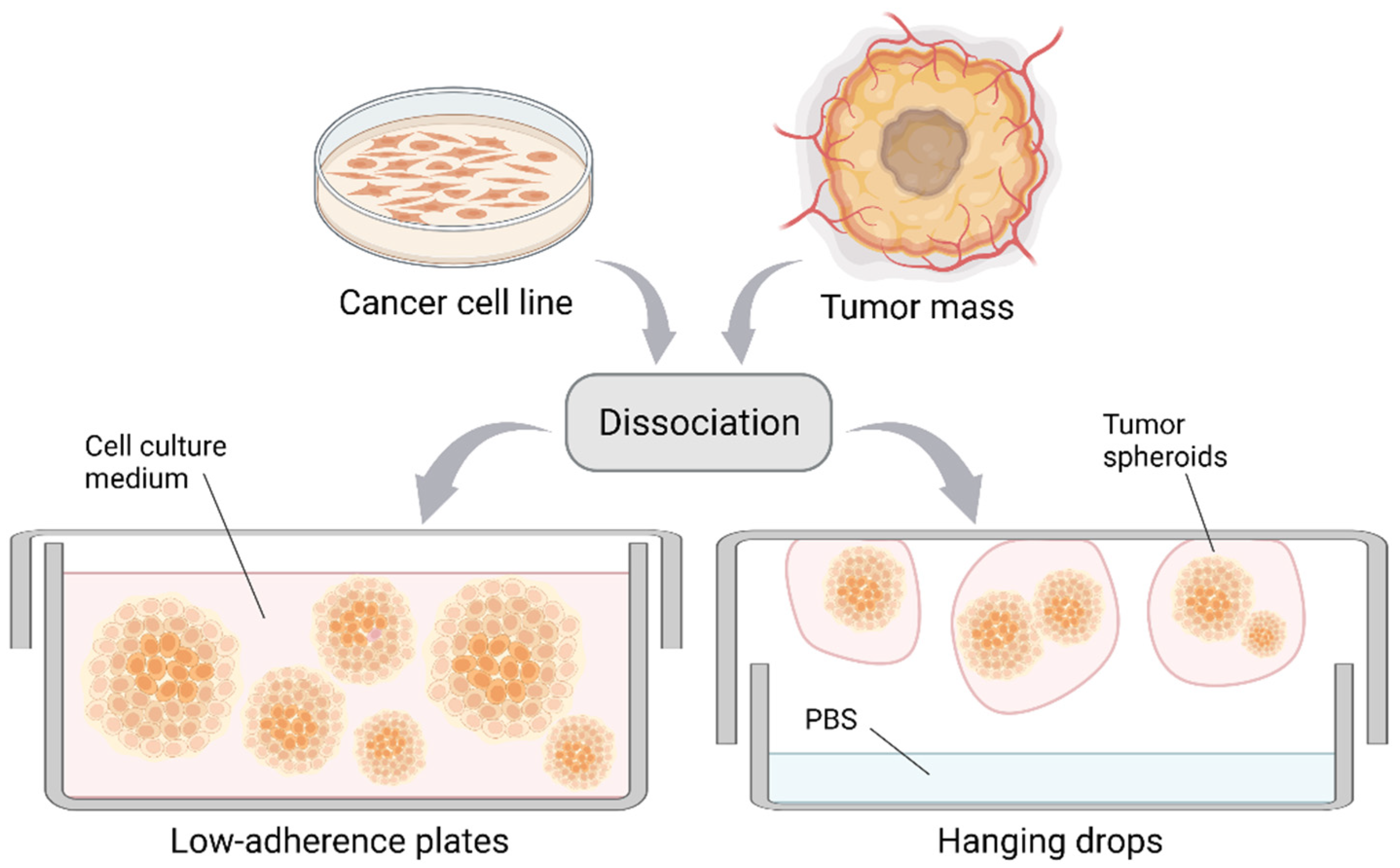 Cancers 14 03692 g001 Cancers 14 03692 g001