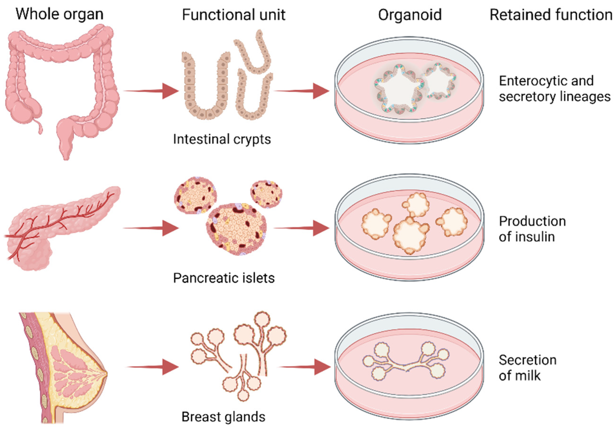 Cancers 14 03692 g002 Cancers 14 03692 g002