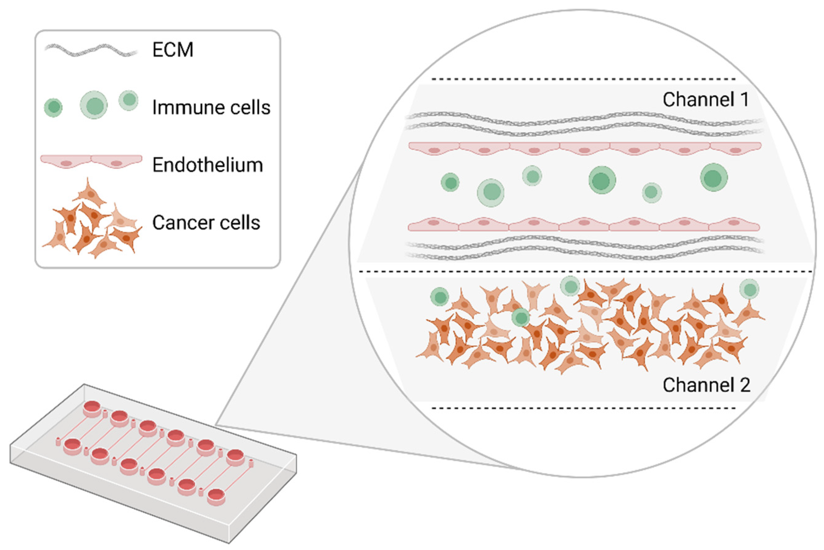 Cancers 14 03692 g003 Cancers 14 03692 g003