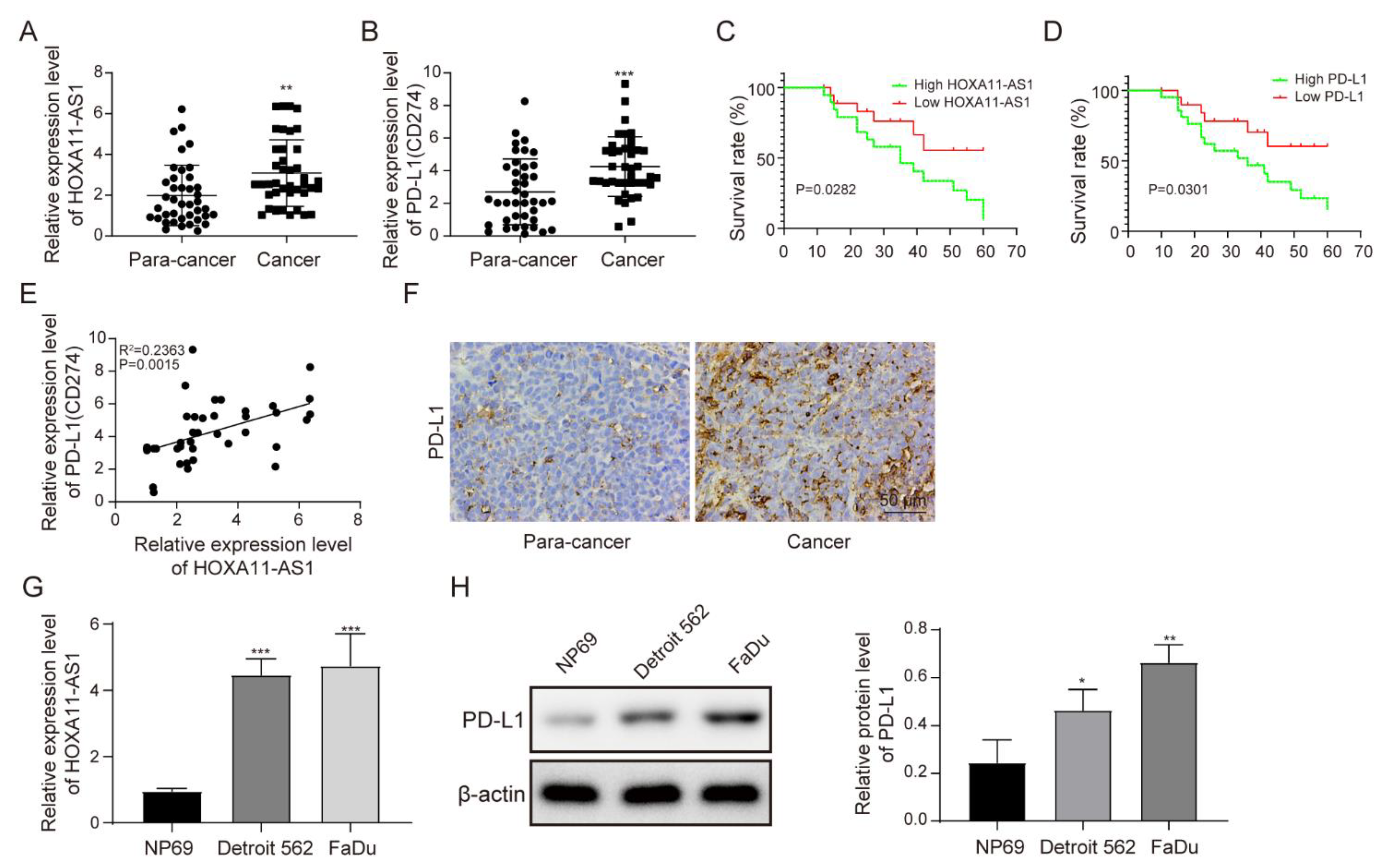 Cancers 14 03694 g001