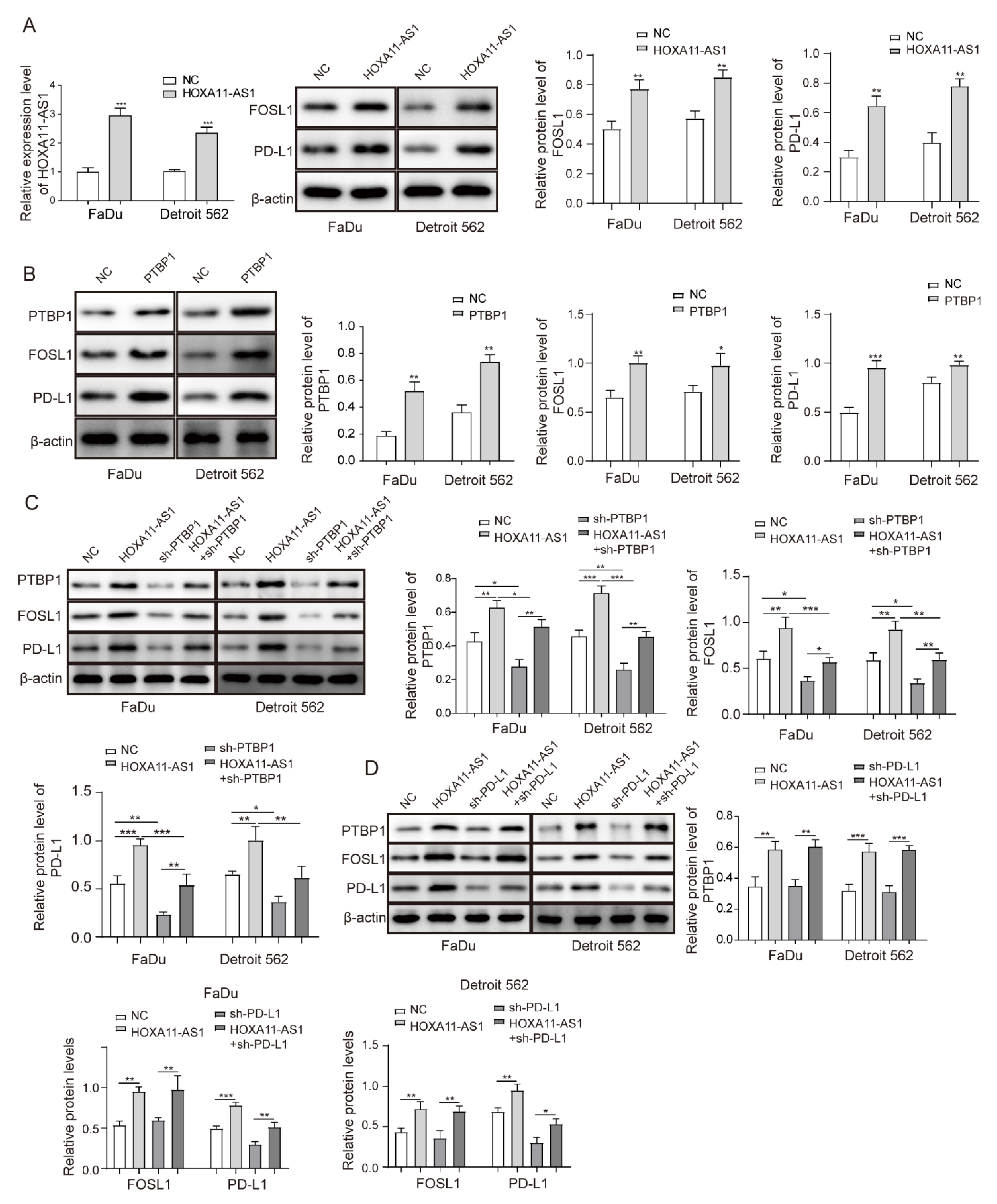 Cancers 14 03694 g005a
