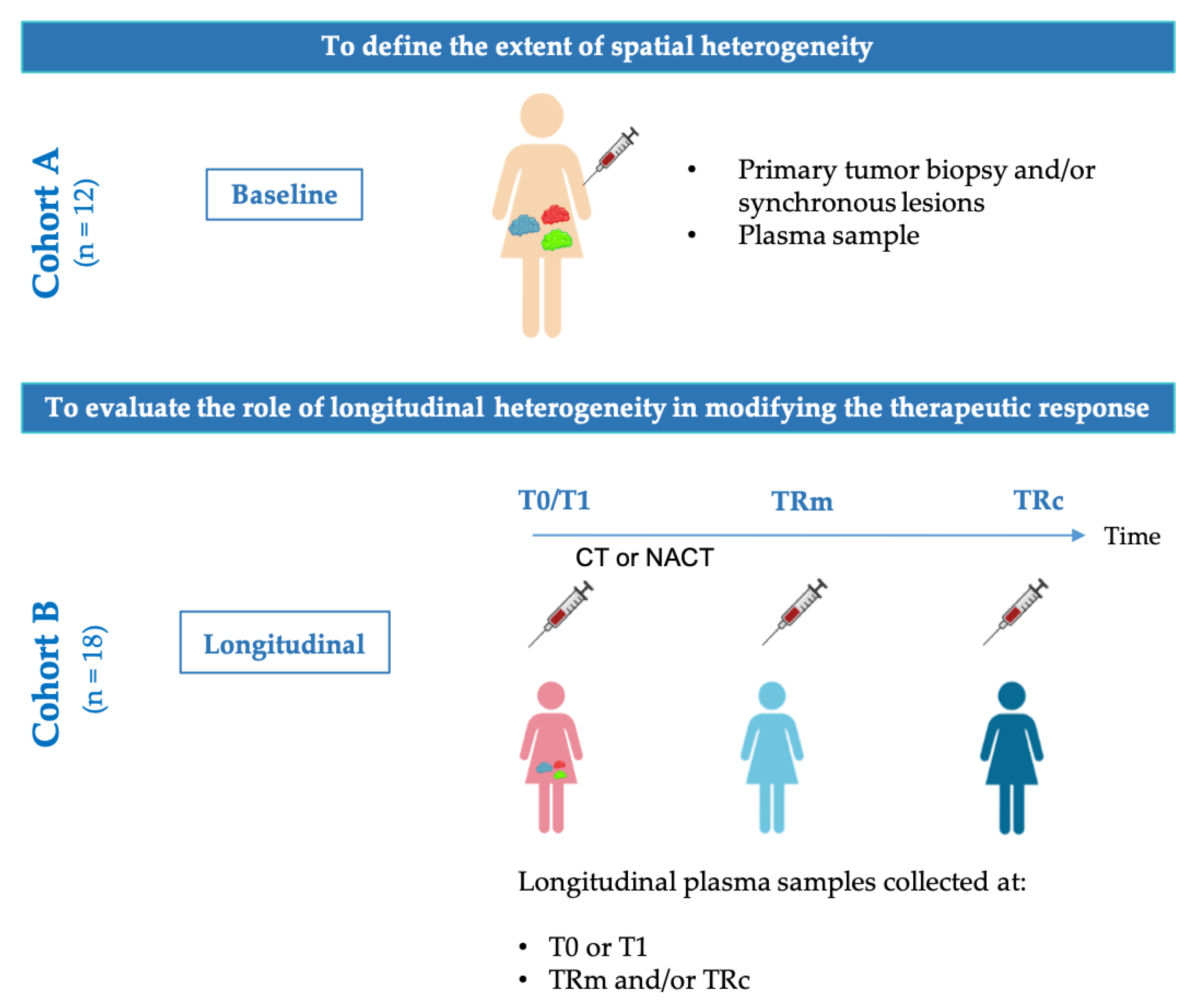Cancers 14 03697 g001