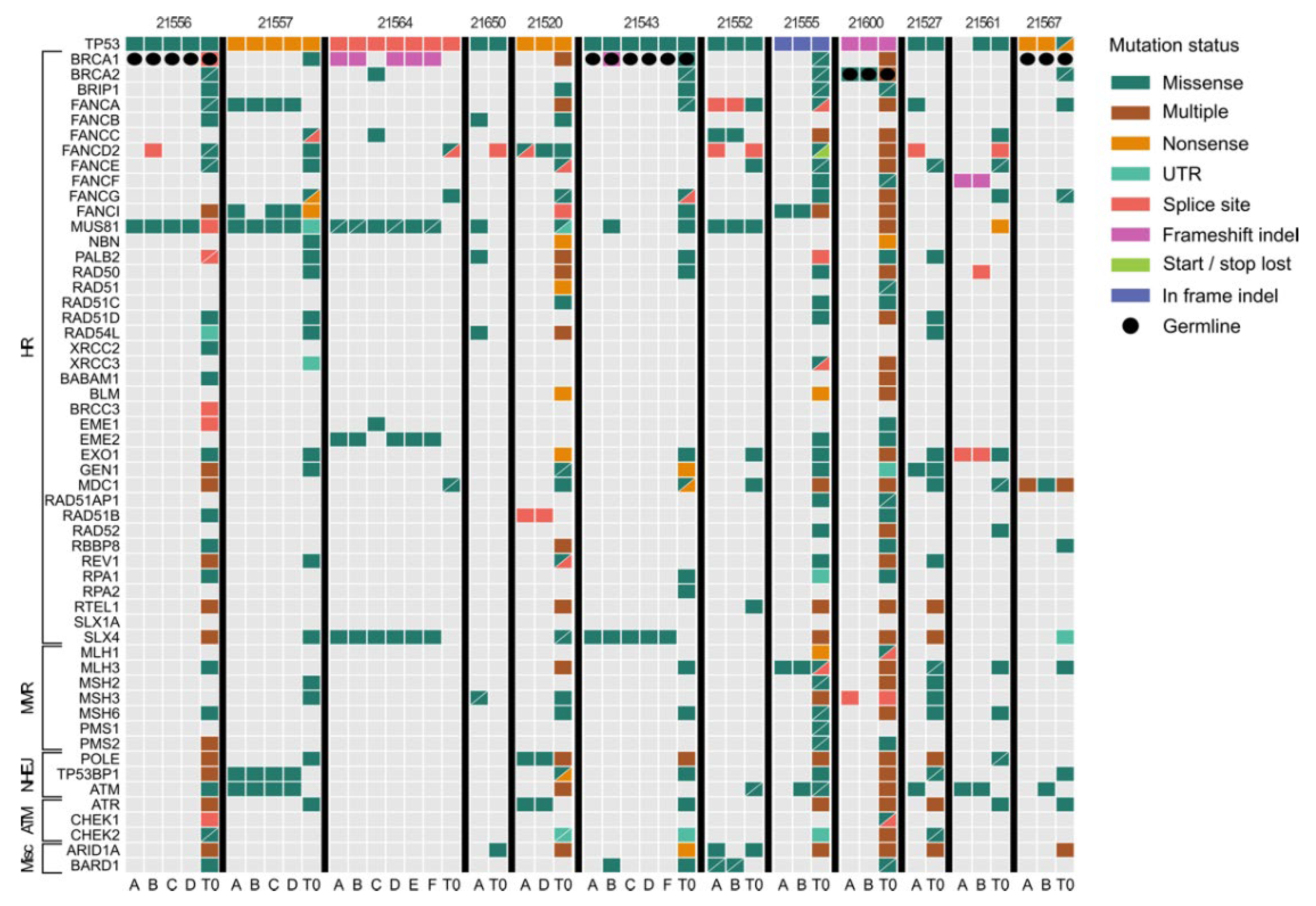 Cancers 14 03697 g002