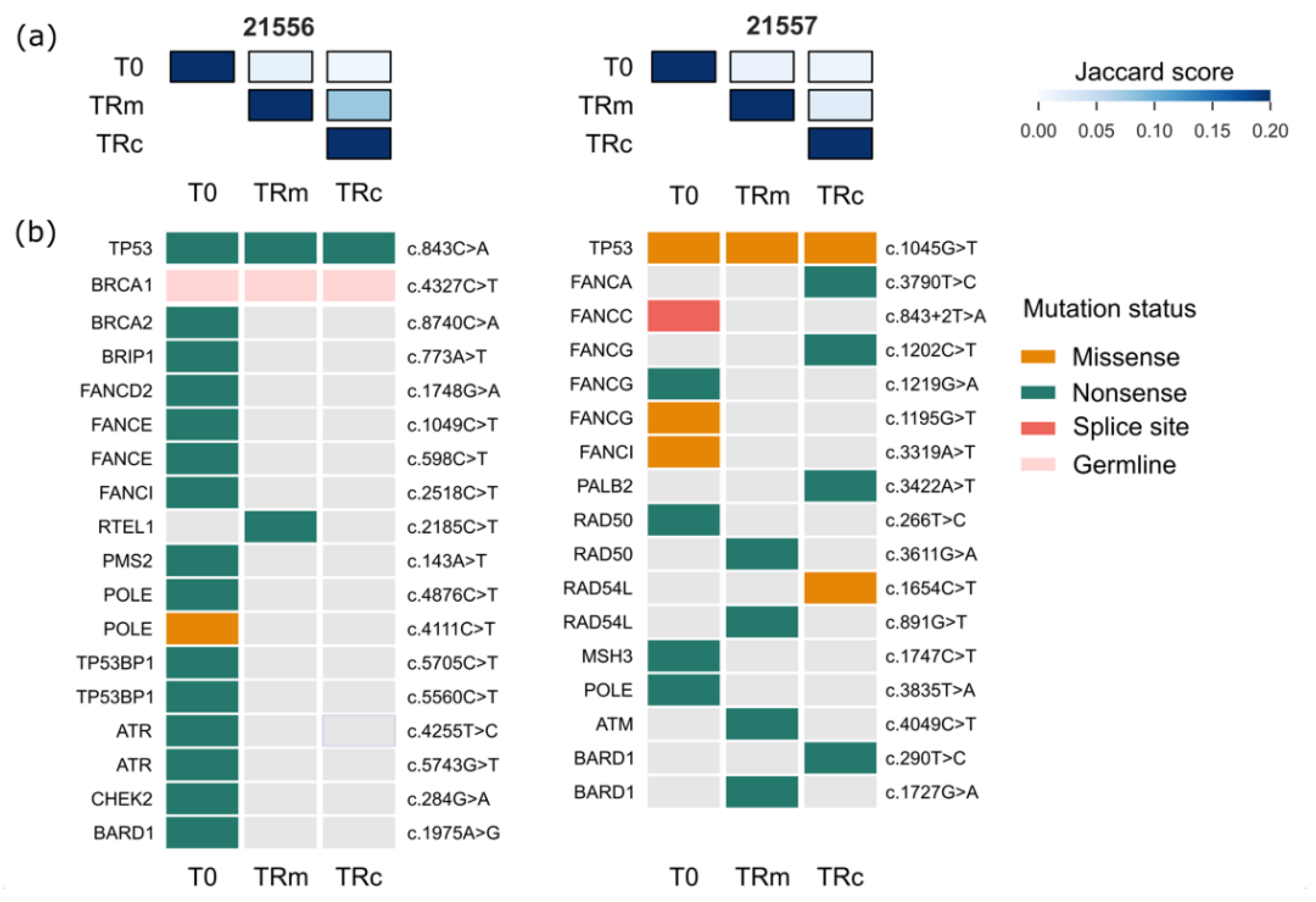 Cancers 14 03697 g003
