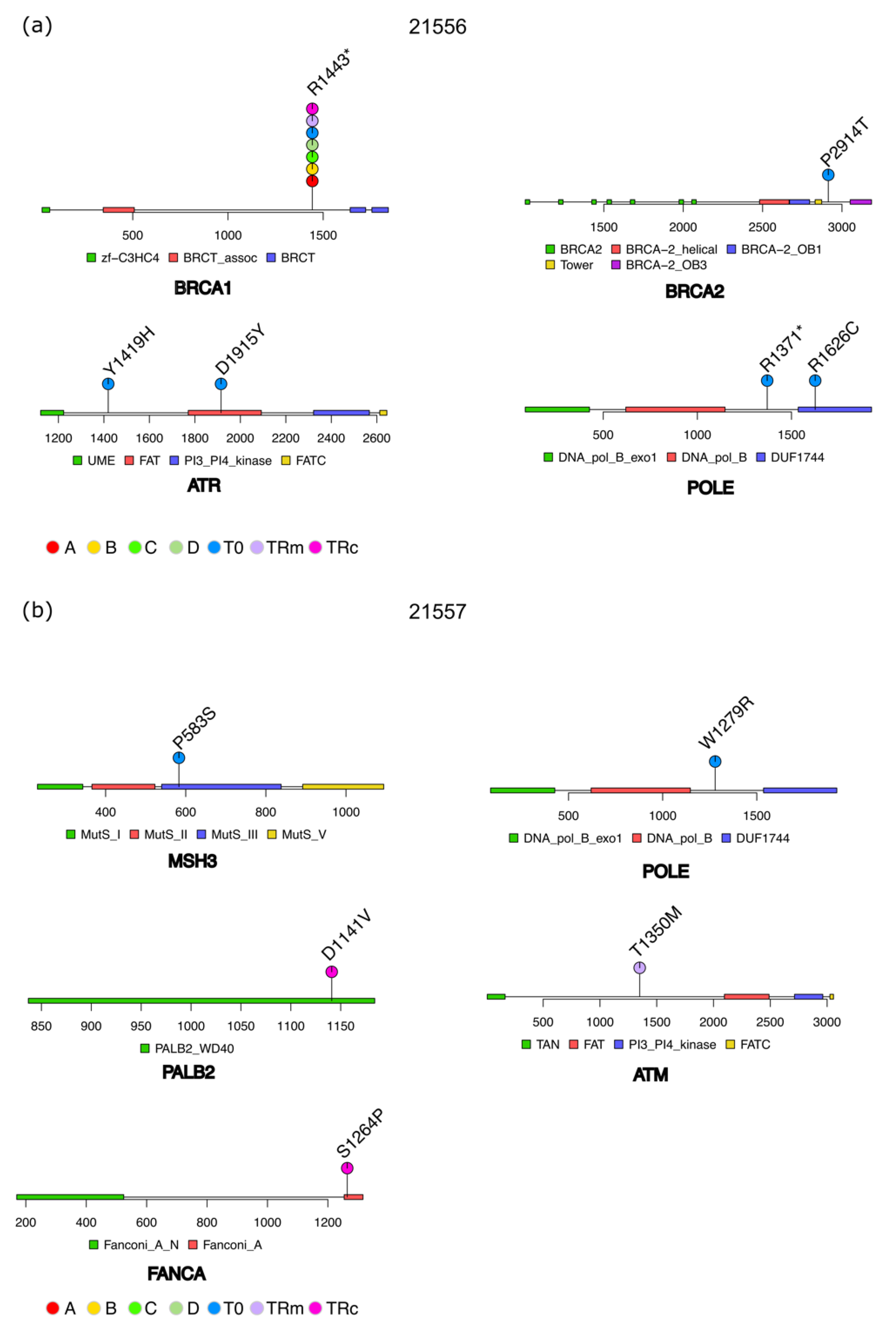 Cancers 14 03697 g004