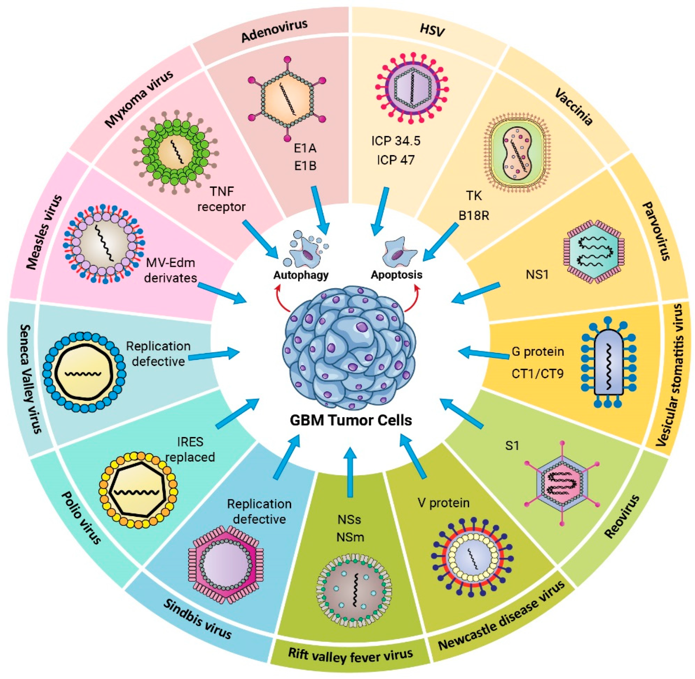 Cancers 14 03698 g001 Cancers 14 03698 g001