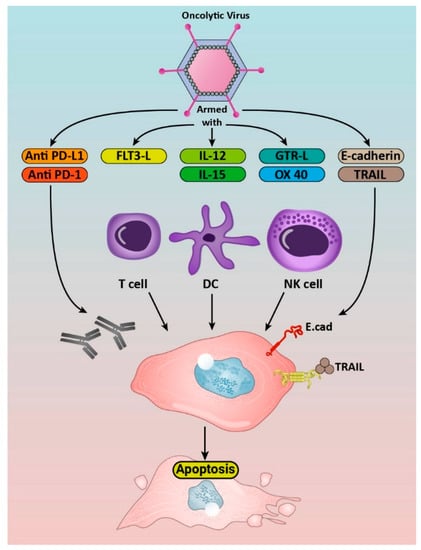 Cancers 14 03698 g002