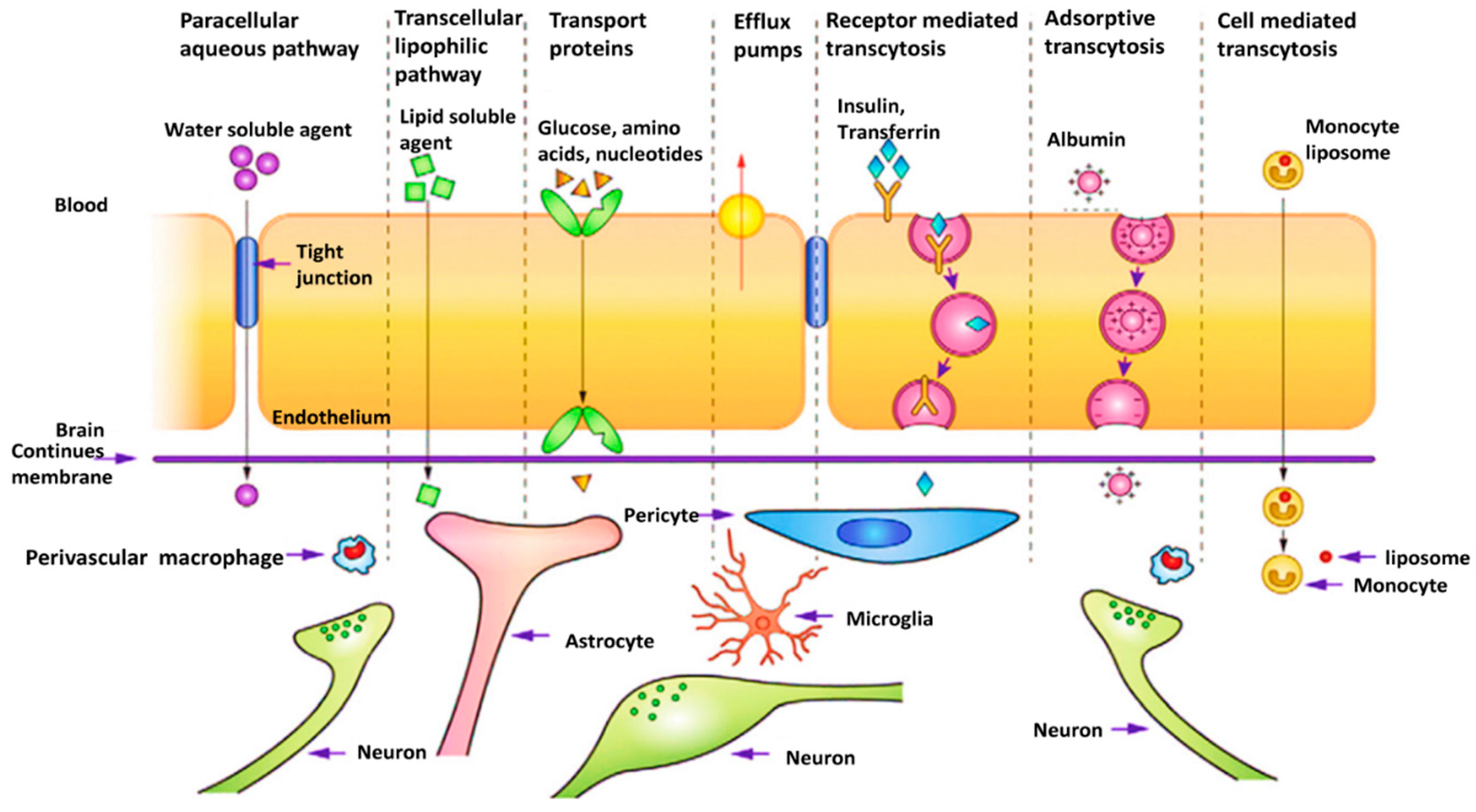 Cancers 14 03698 g003 Cancers 14 03698 g003