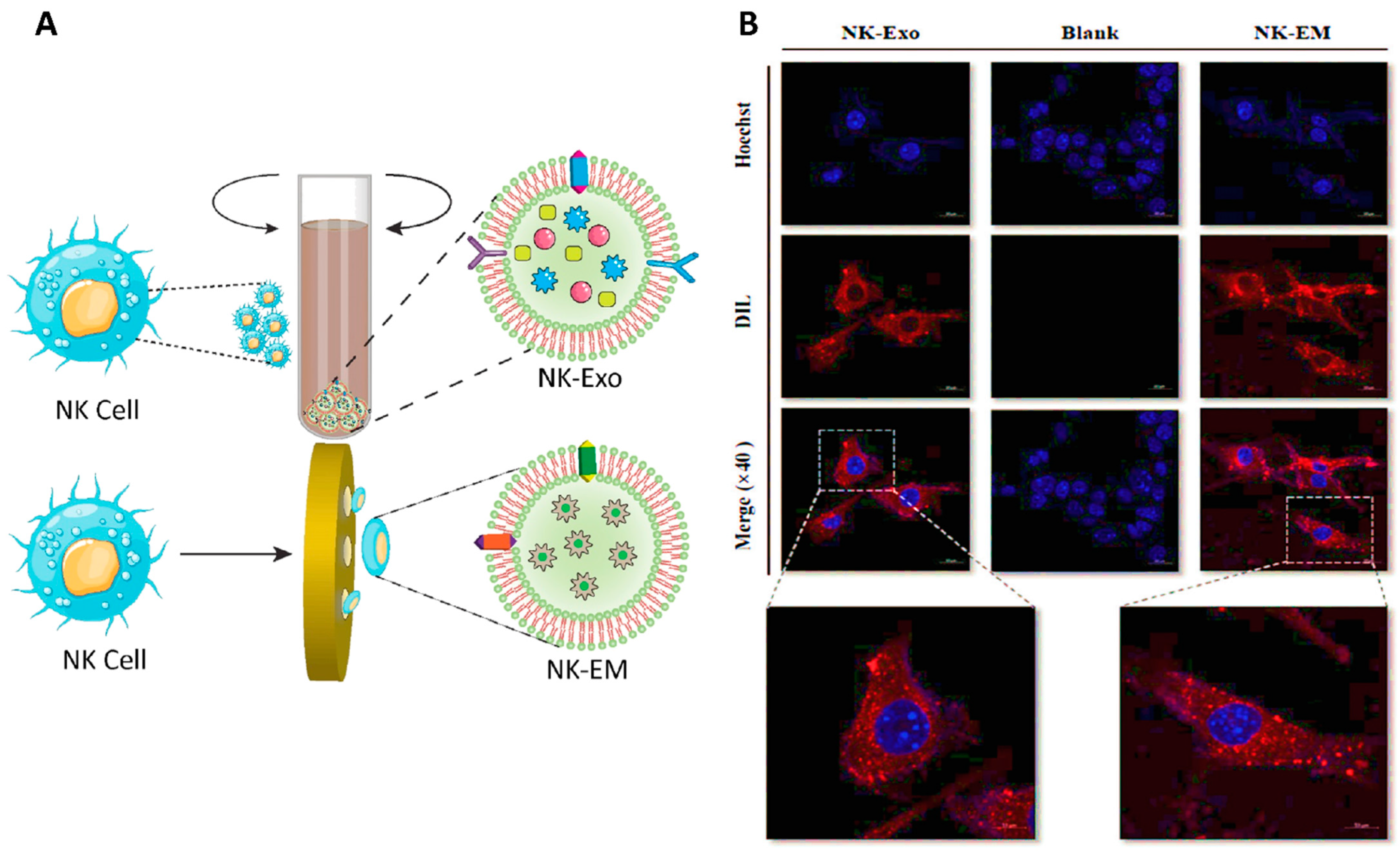 Cancers 14 03698 g006 Cancers 14 03698 g006