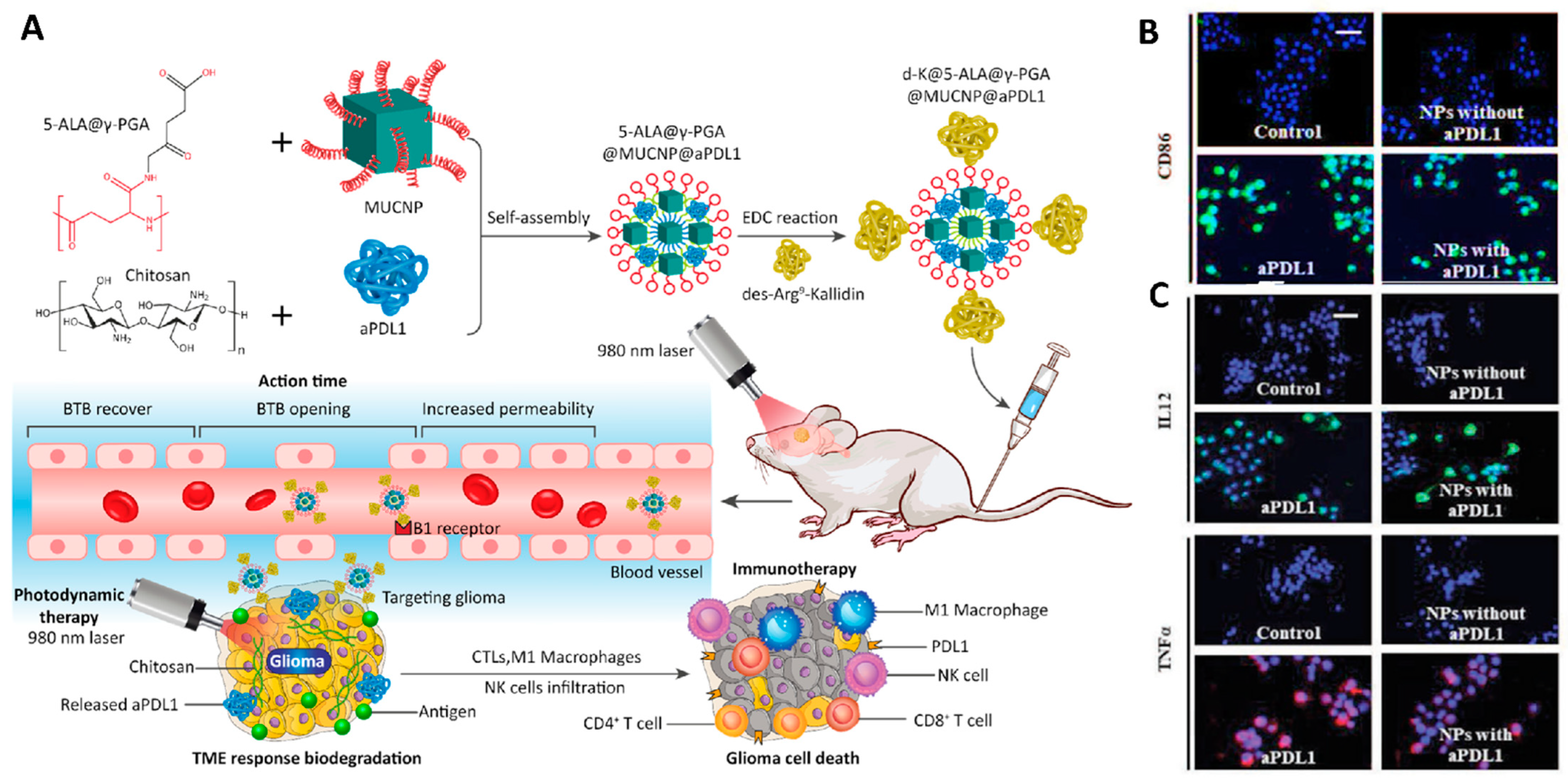Cancers 14 03698 g008 Cancers 14 03698 g008