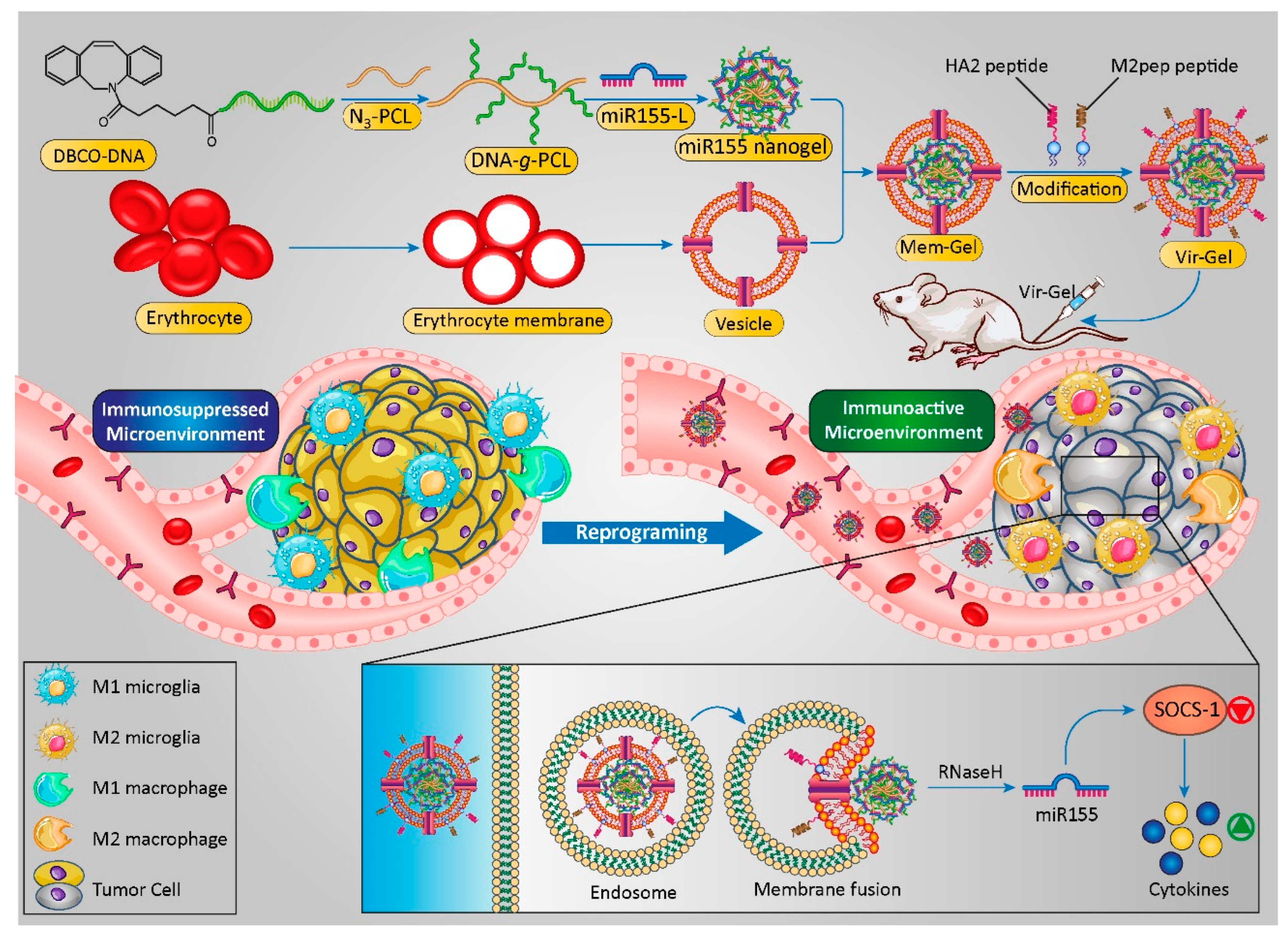Cancers 14 03698 g009 Cancers 14 03698 g009