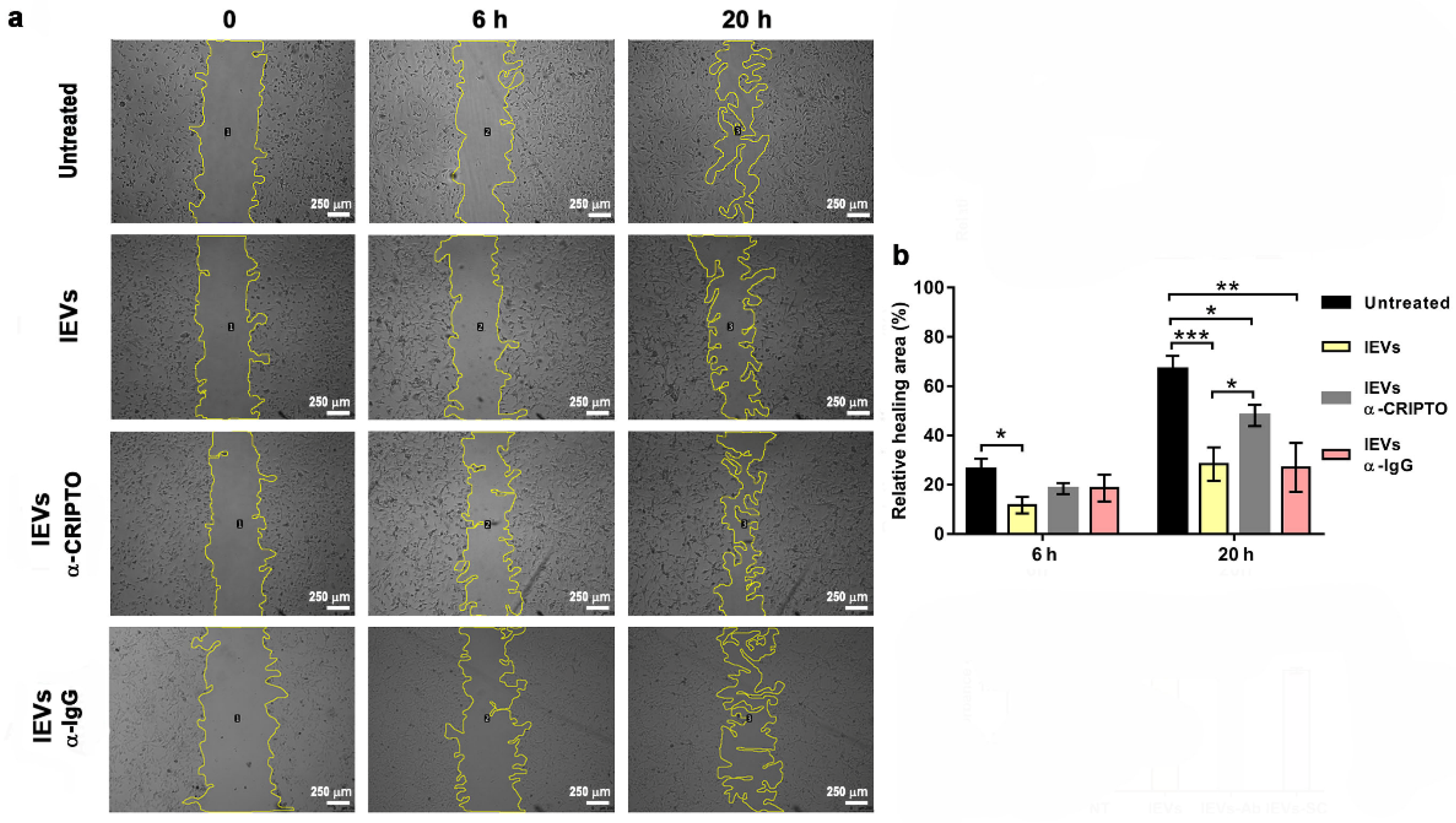 Cancers 14 03700 g007