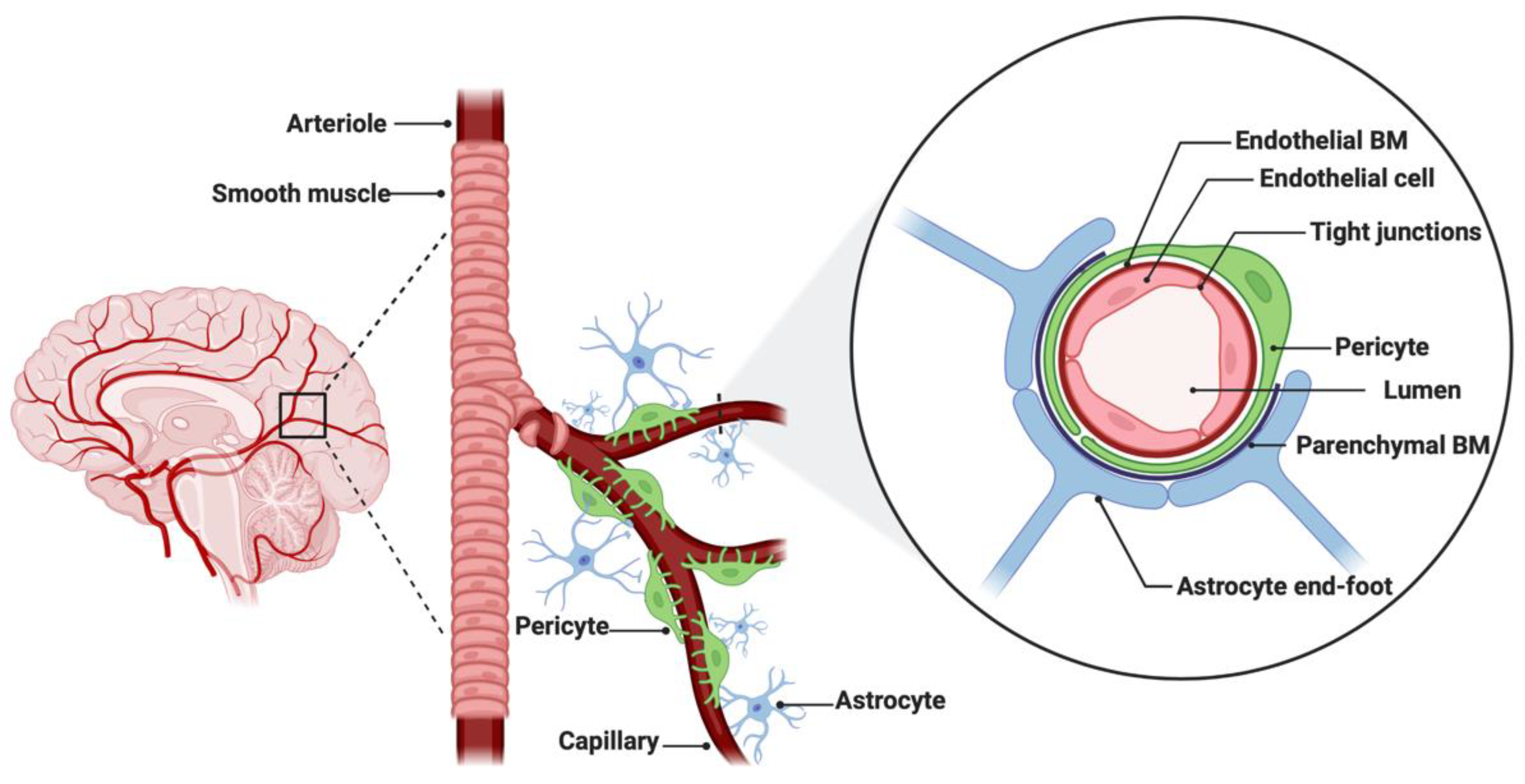Cancers 14 03705 g001