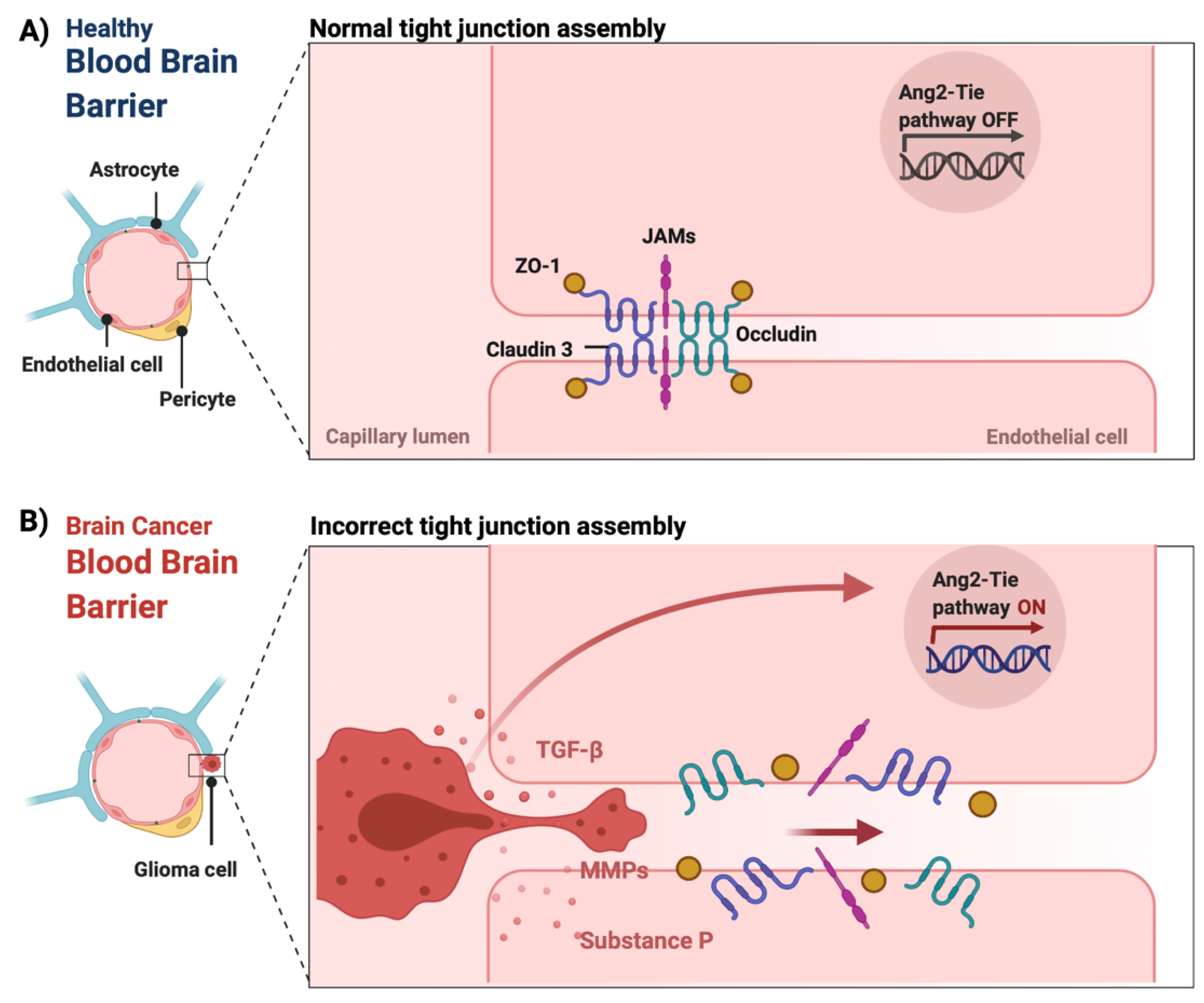 Cancers 14 03705 g002
