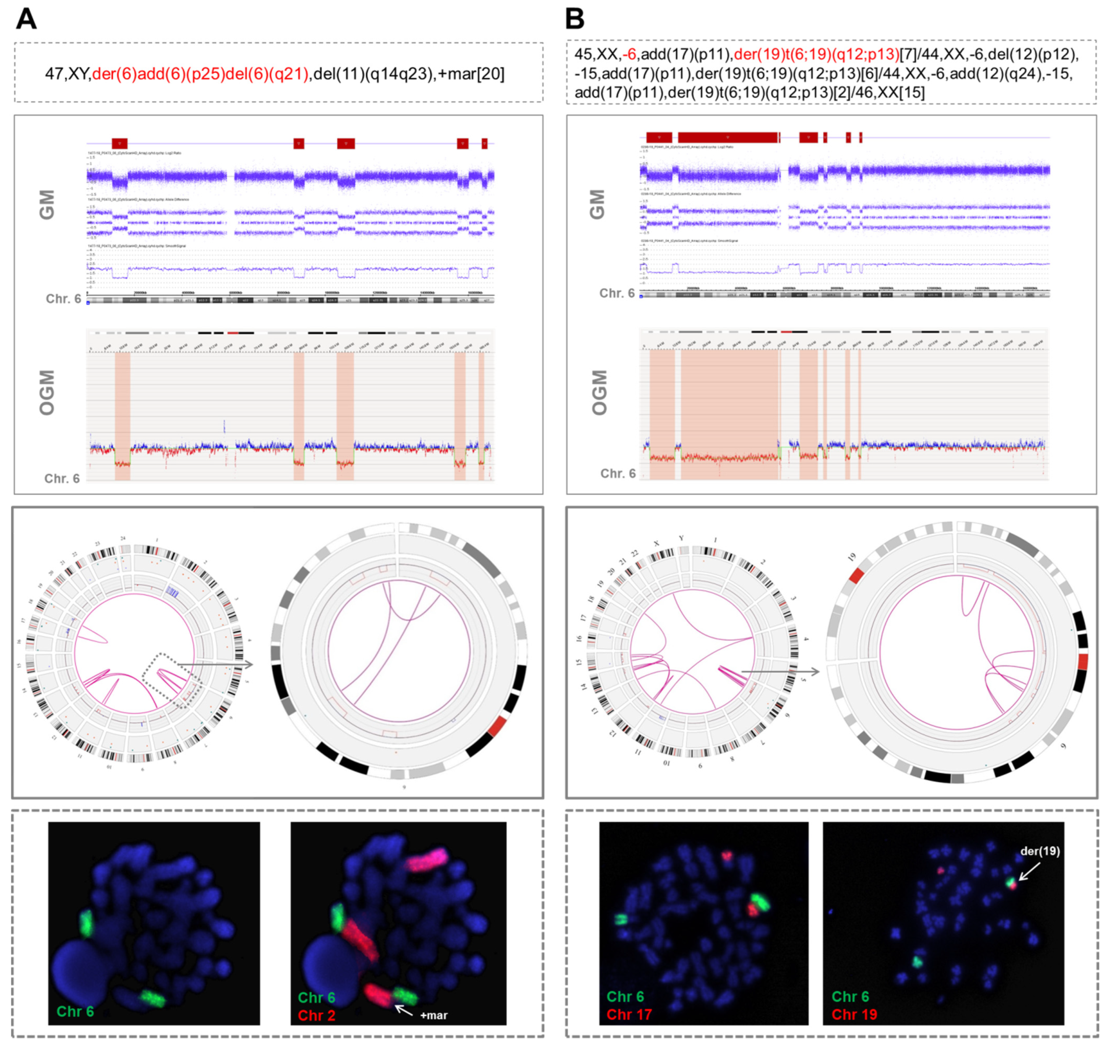 Cancers 14 03715 g001