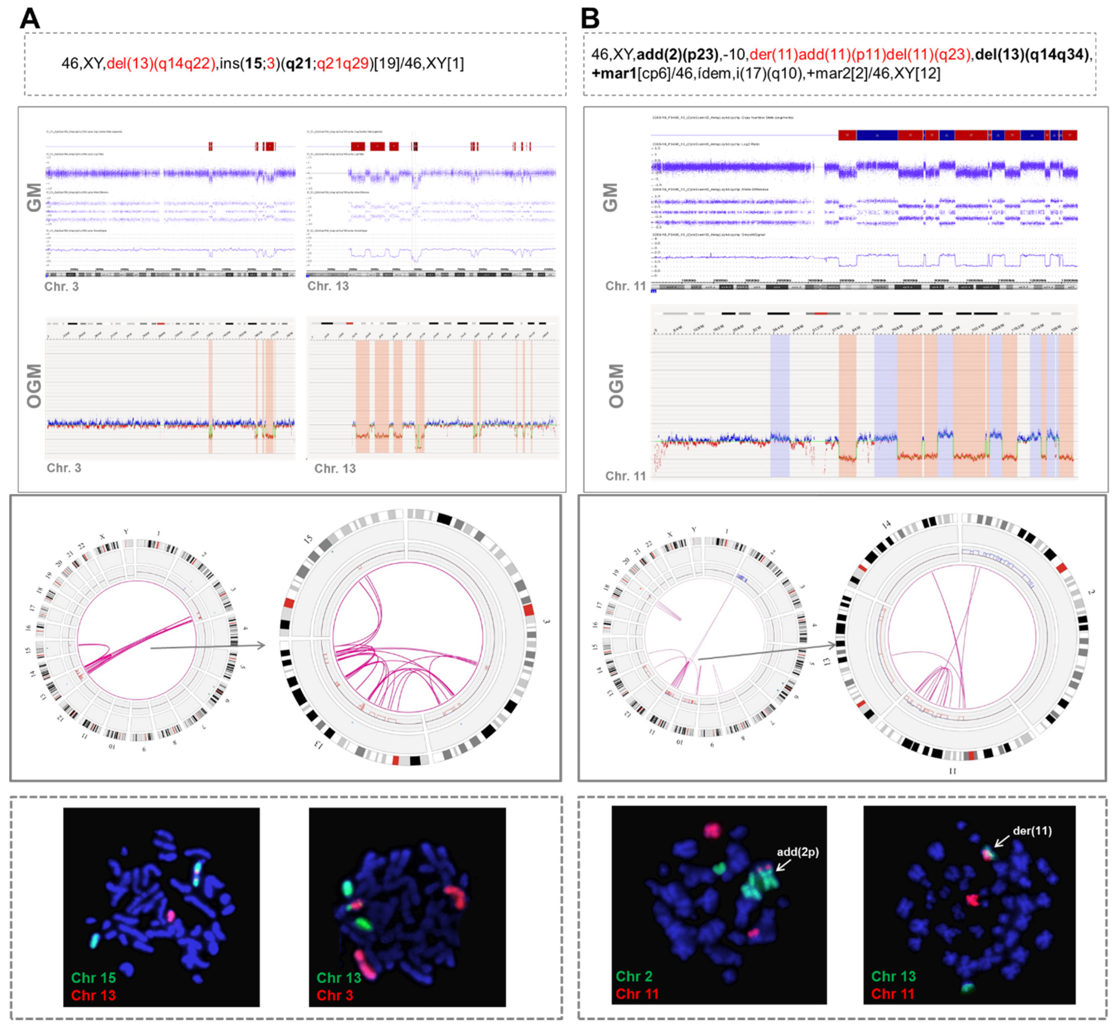Cancers 14 03715 g002