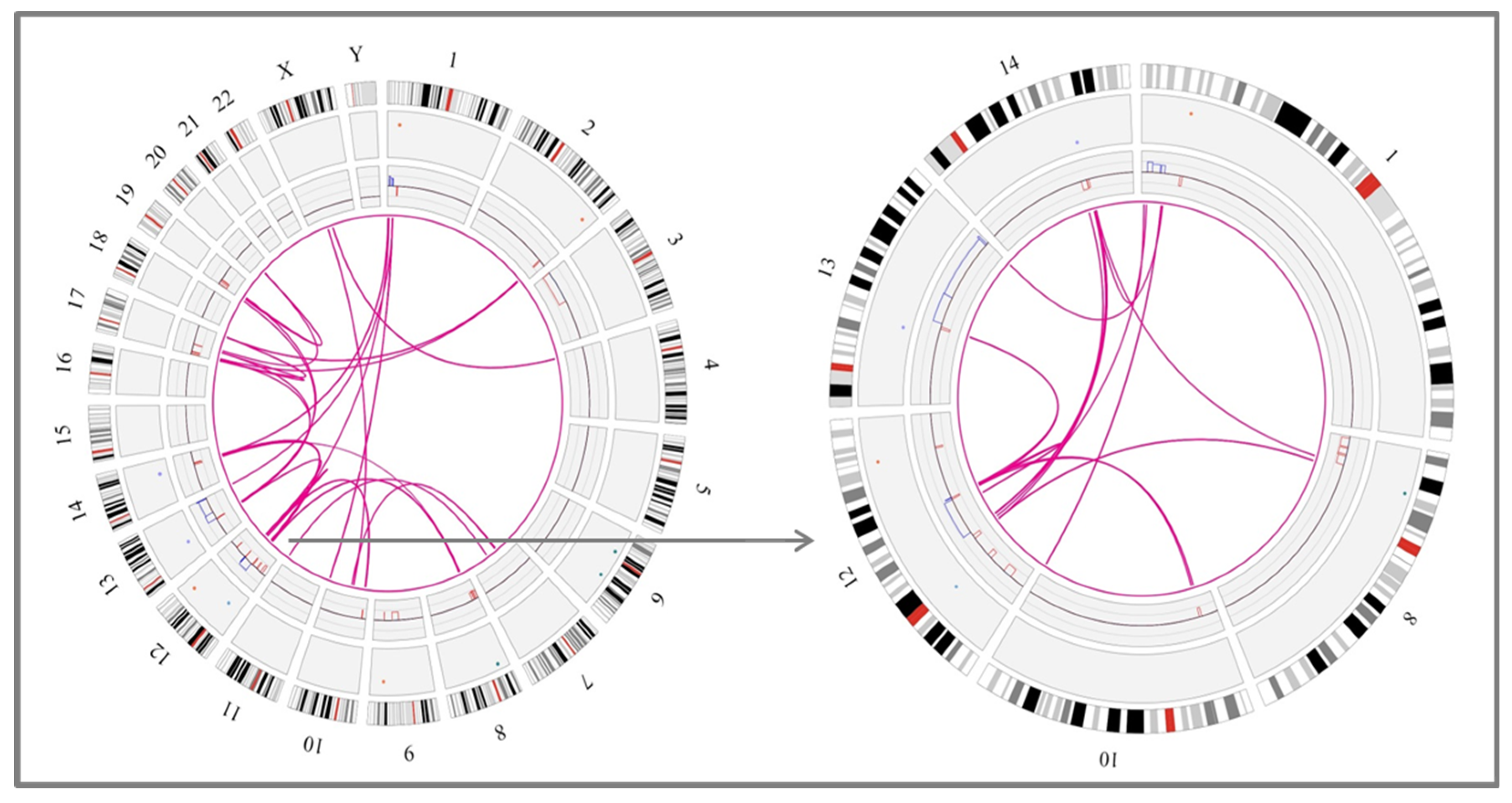 Cancers 14 03715 g003b