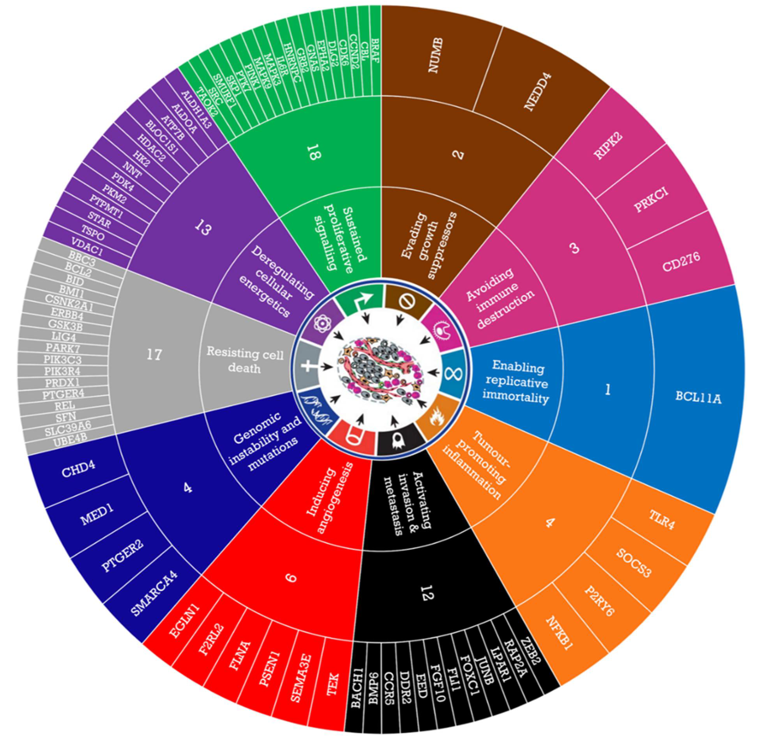 Cancers 14 03726 g001