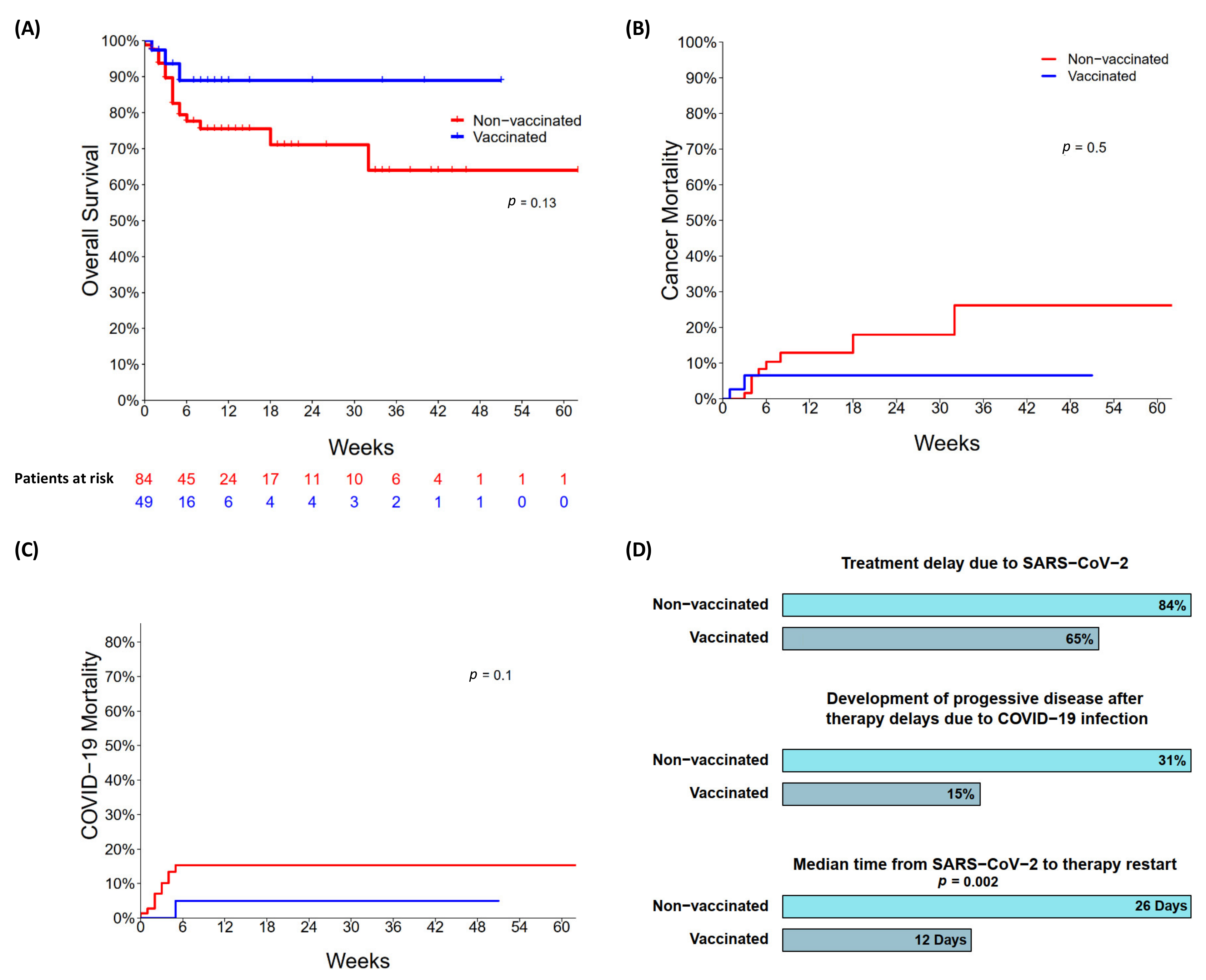 Cancers 14 03746 g003