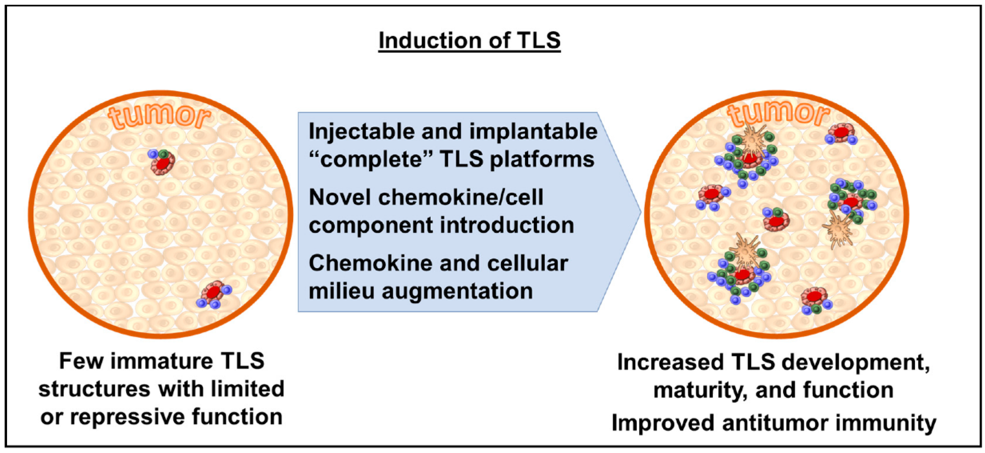Cancers 14 03748 g002