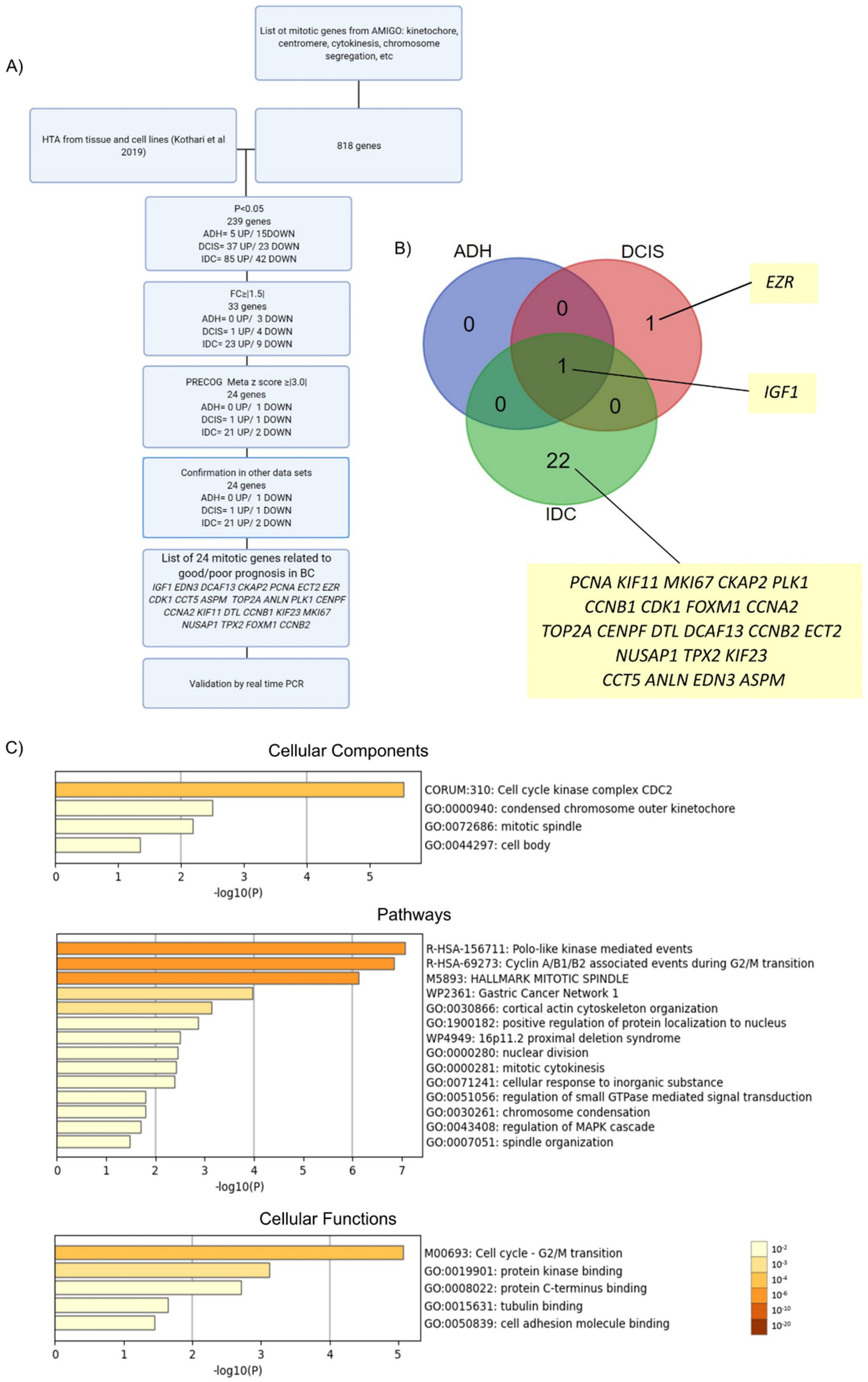 Cancers 14 03759 g001