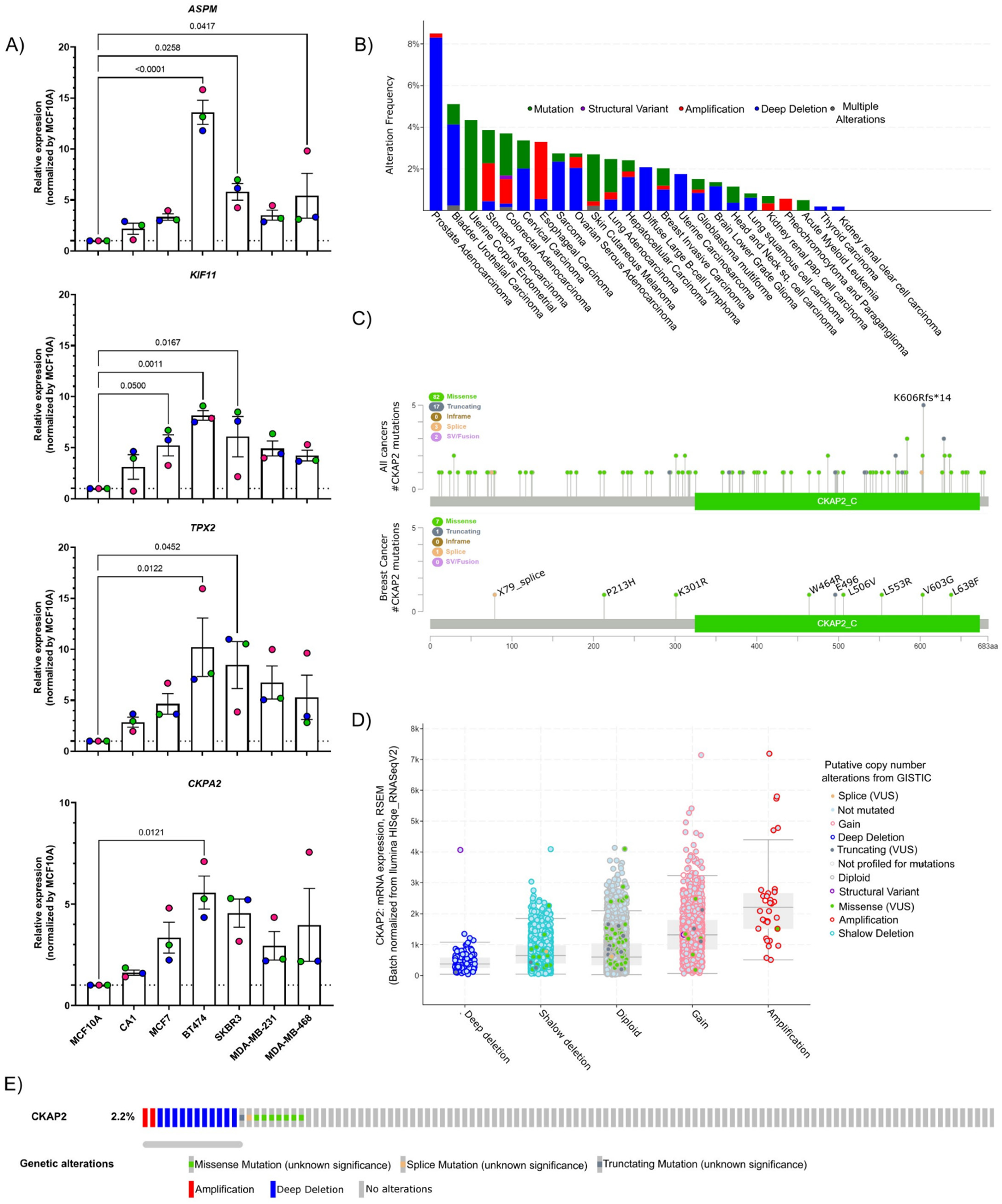 Cancers 14 03759 g002