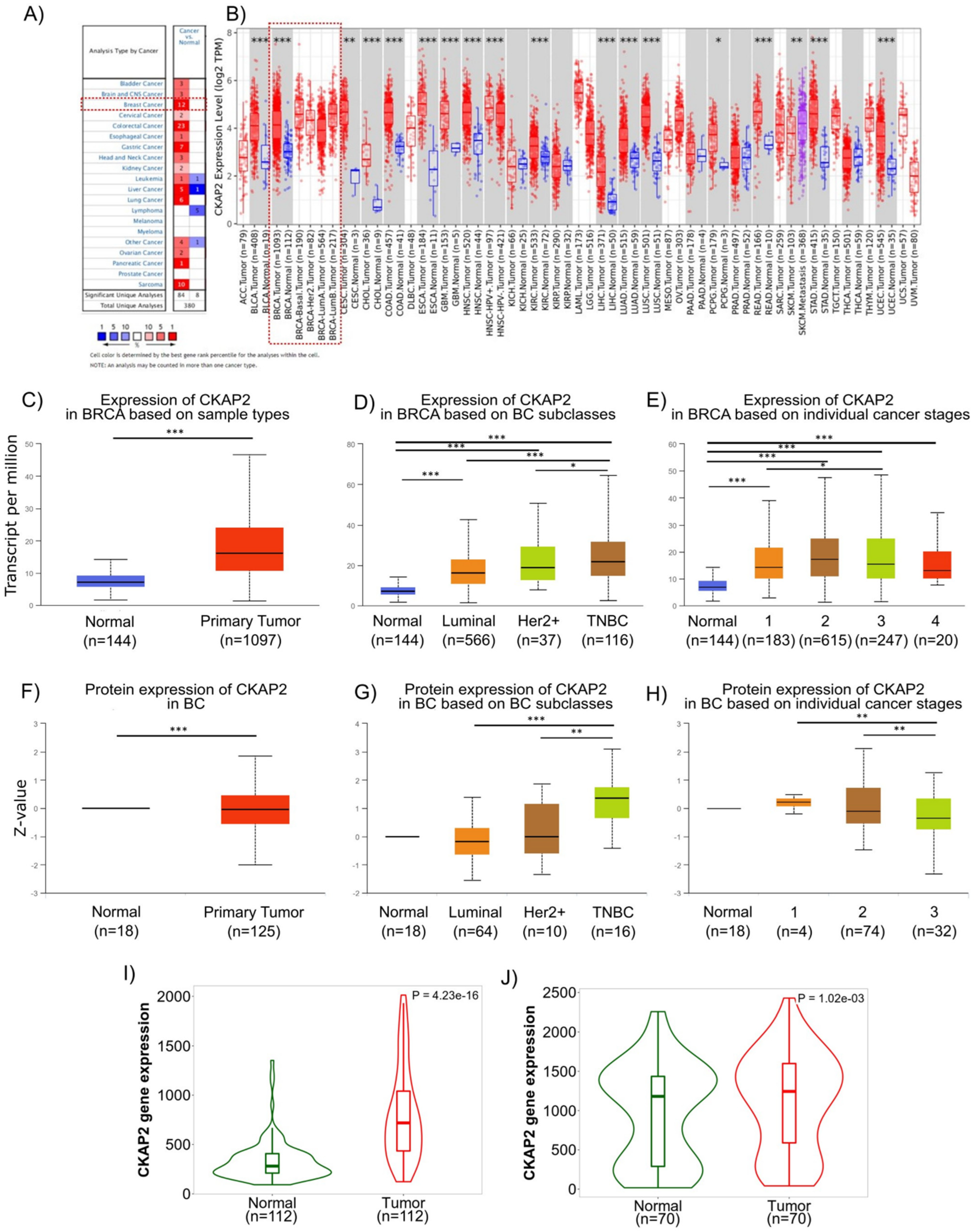 Cancers 14 03759 g003