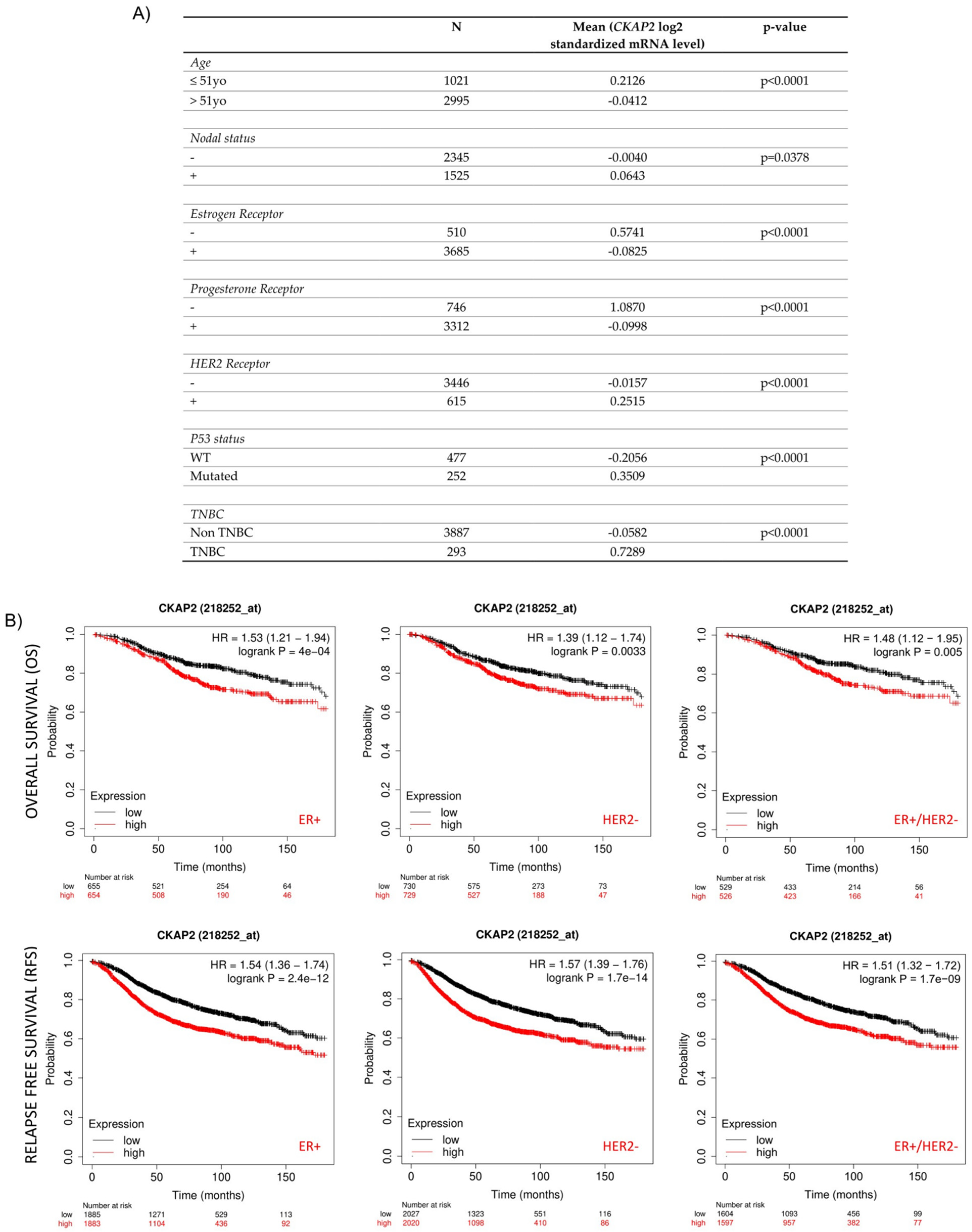 Cancers 14 03759 g004