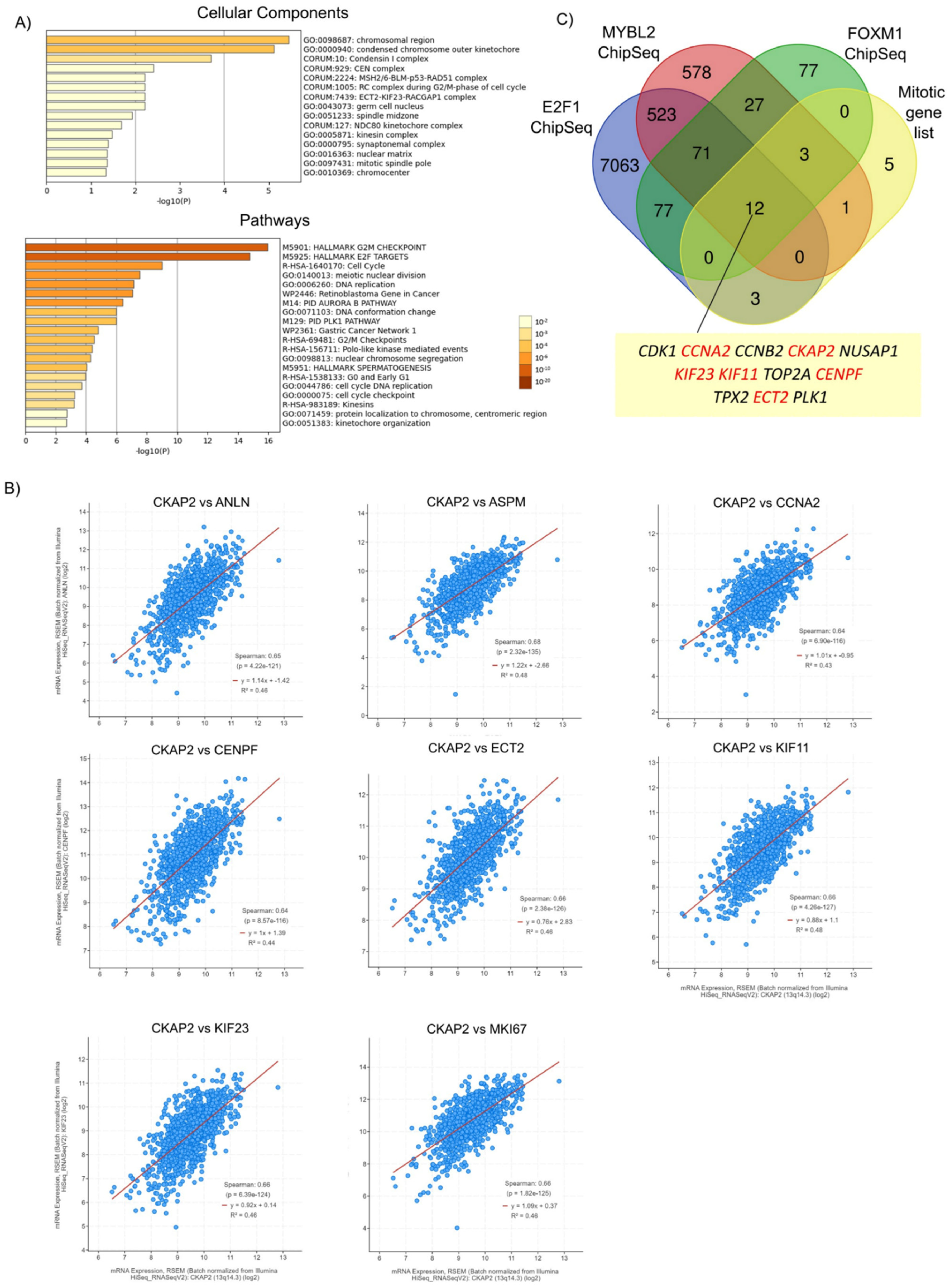 Cancers 14 03759 g005