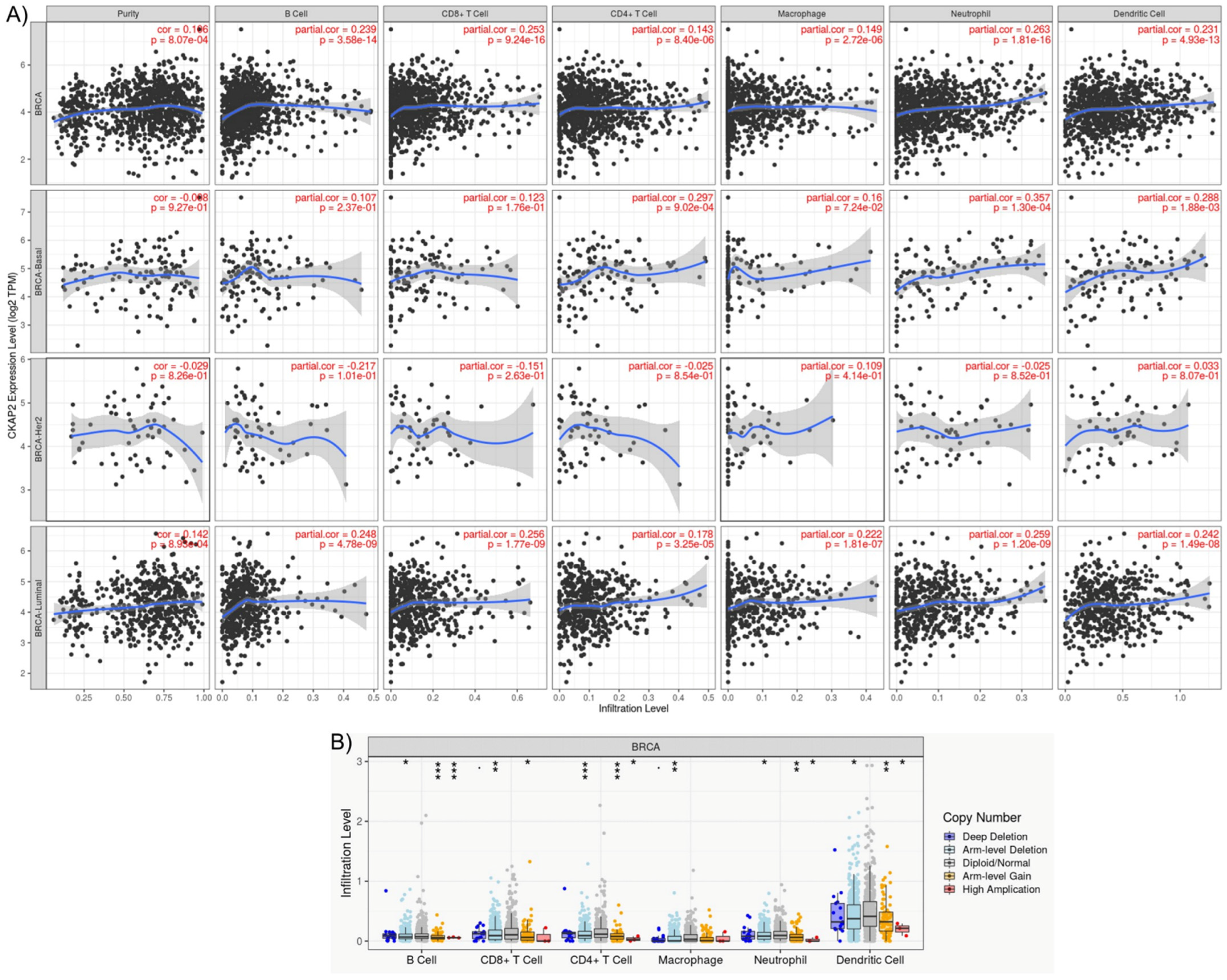 Cancers 14 03759 g006