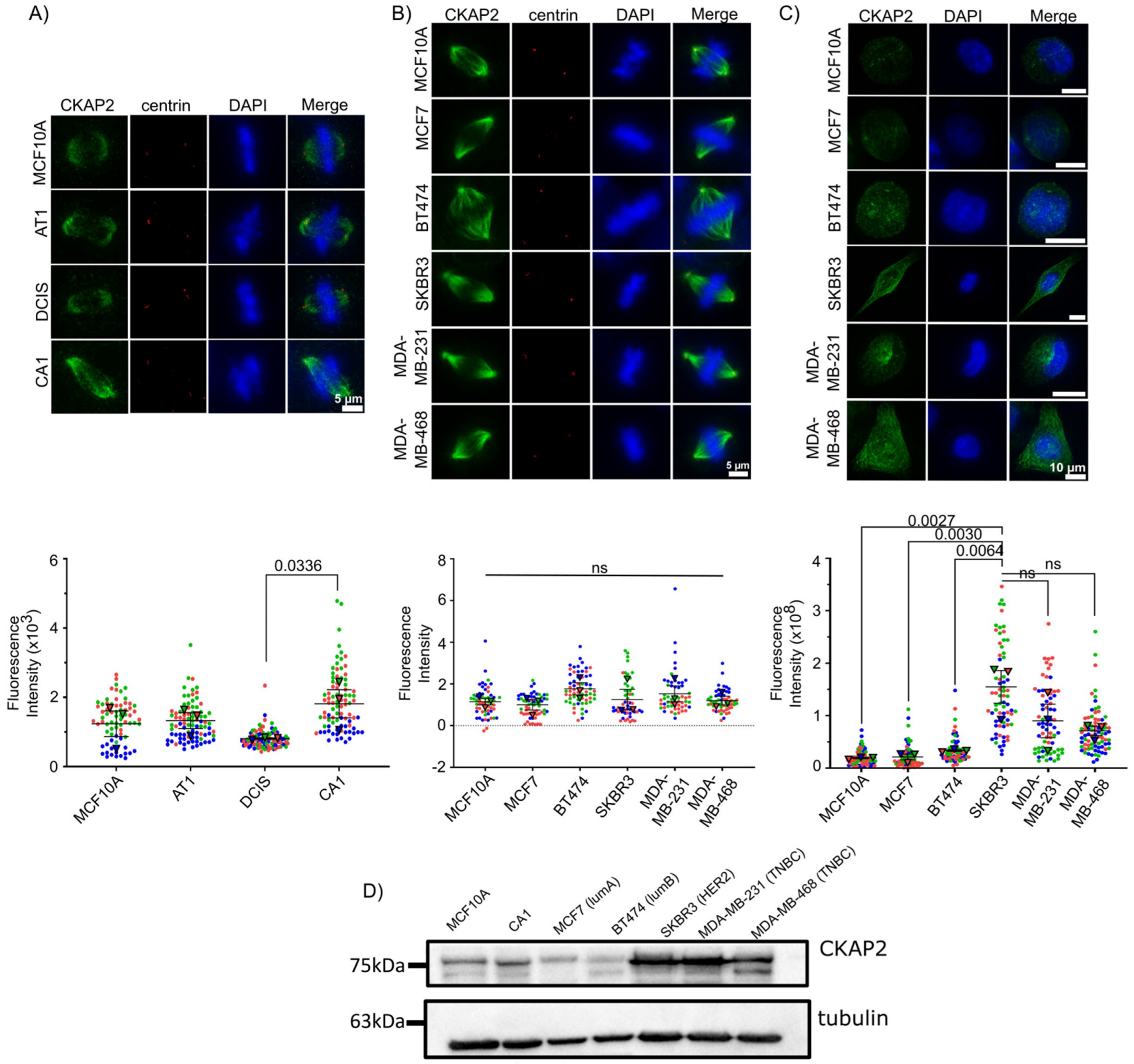 Cancers 14 03759 g007