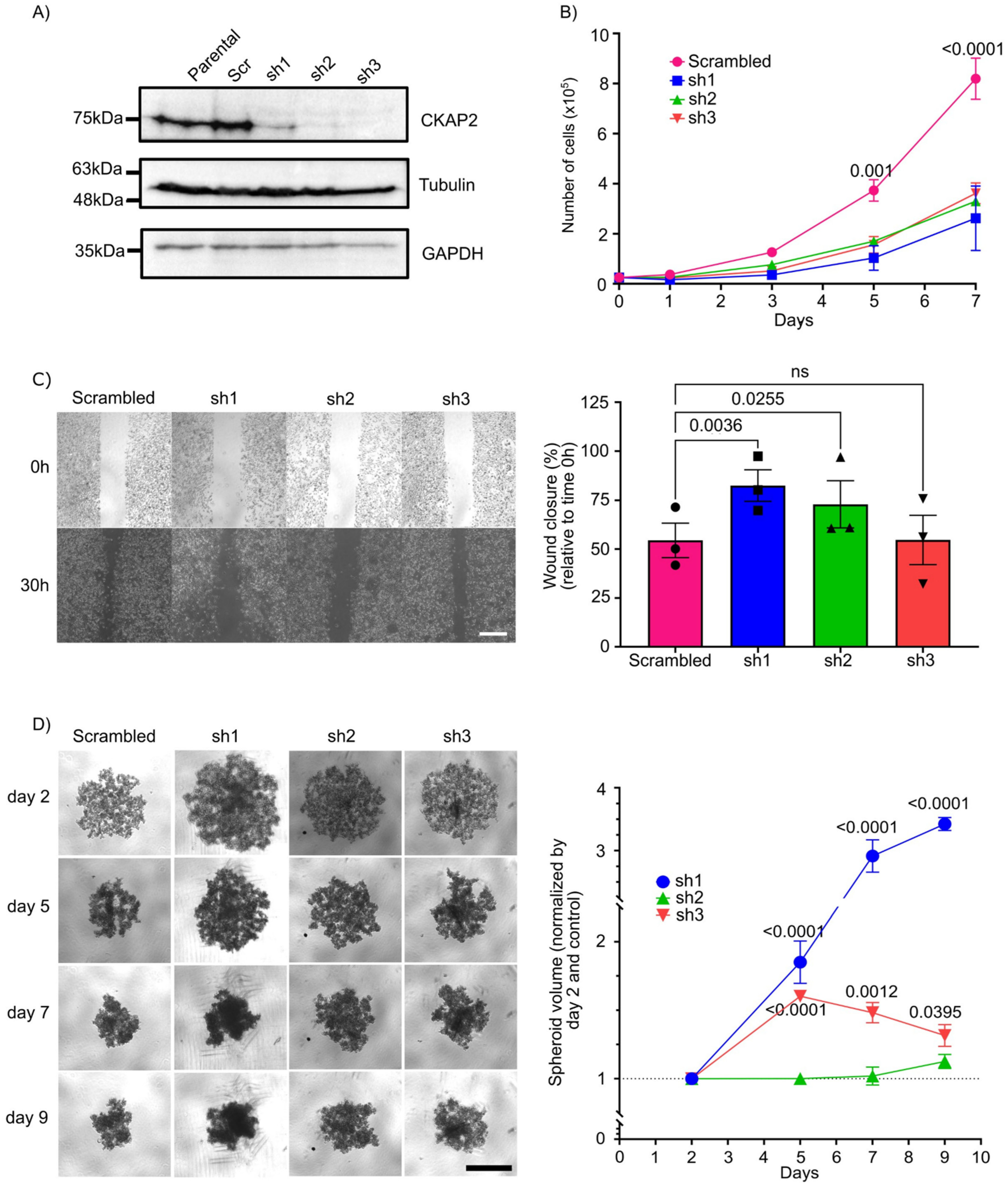 Cancers 14 03759 g008