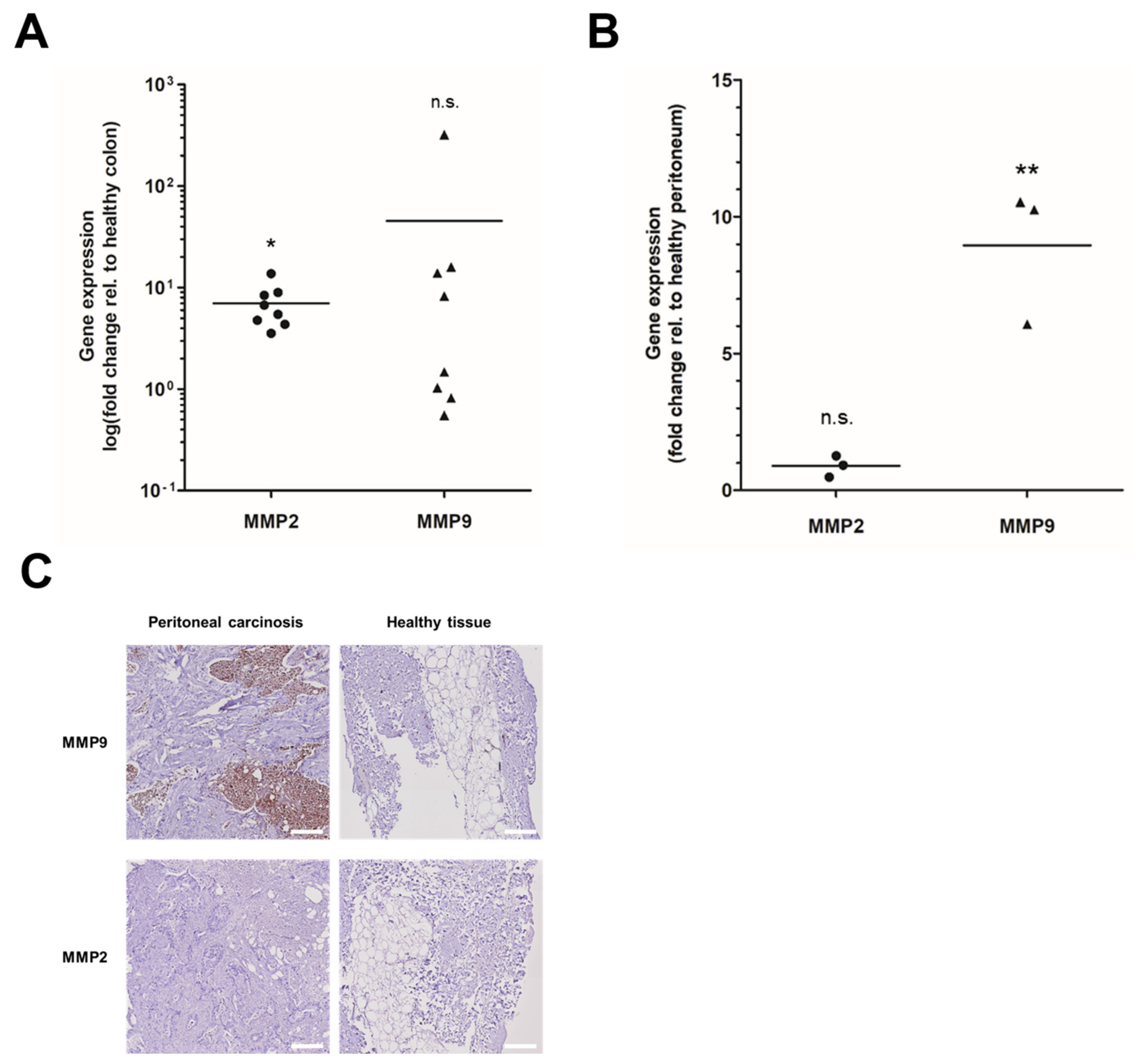 Cancers 14 03760 g001