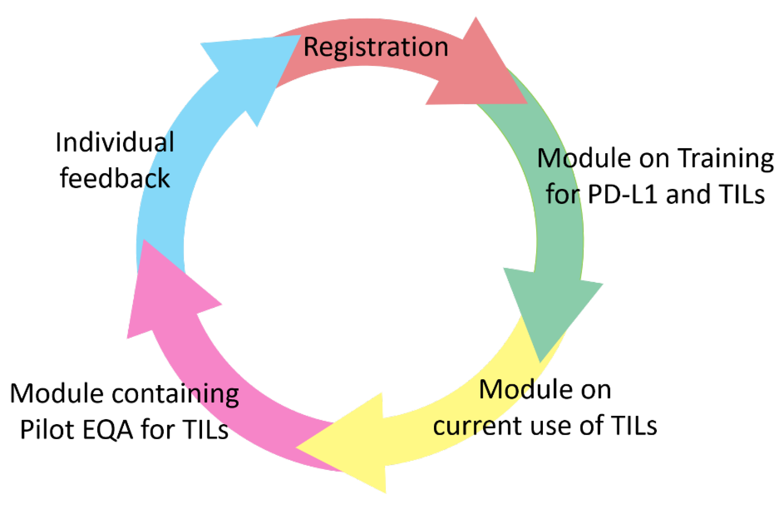 Cancers 14 03762 g001